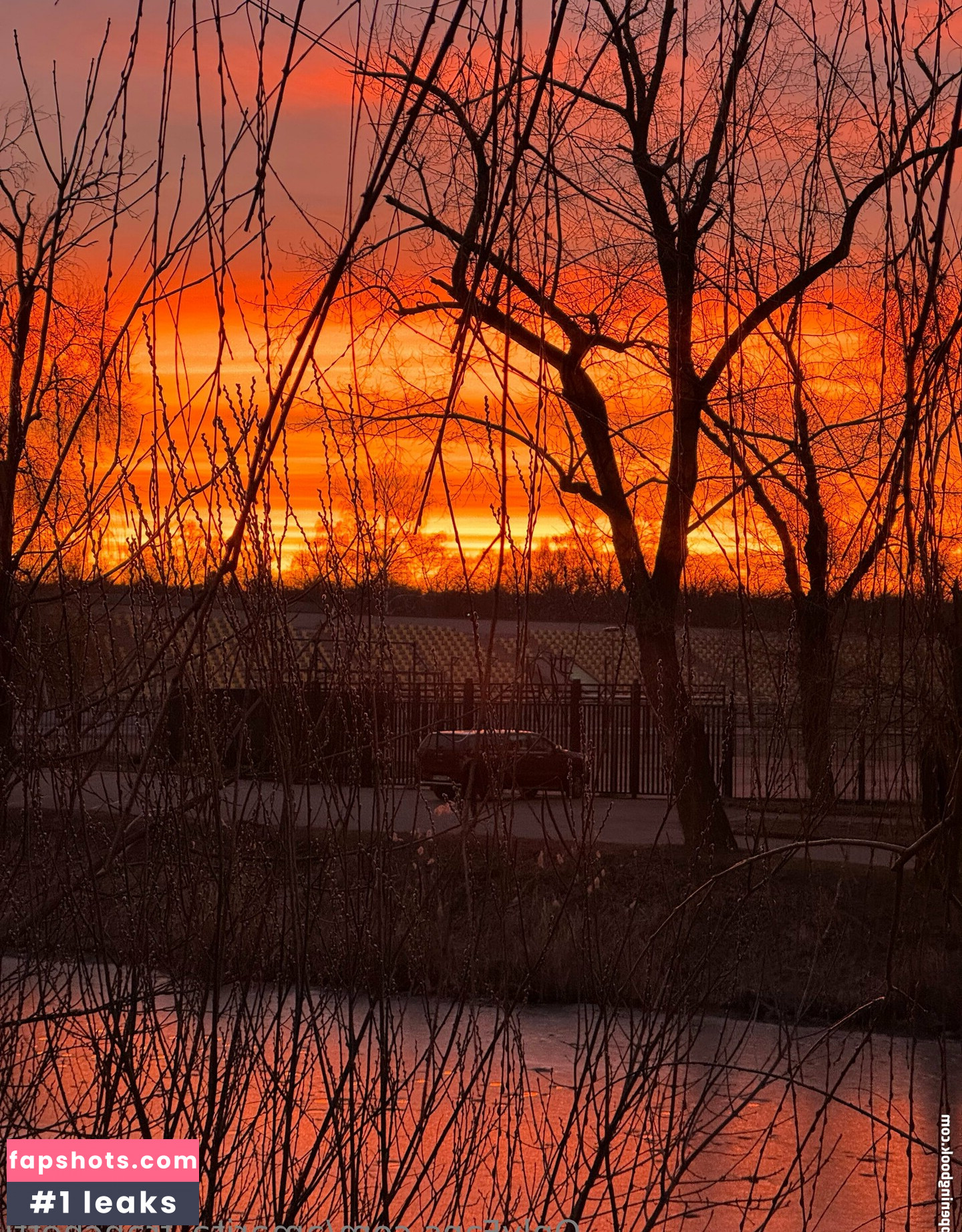 amarita_franchetti Nacktheit OnlyFans Fotos #43 - Fapshots