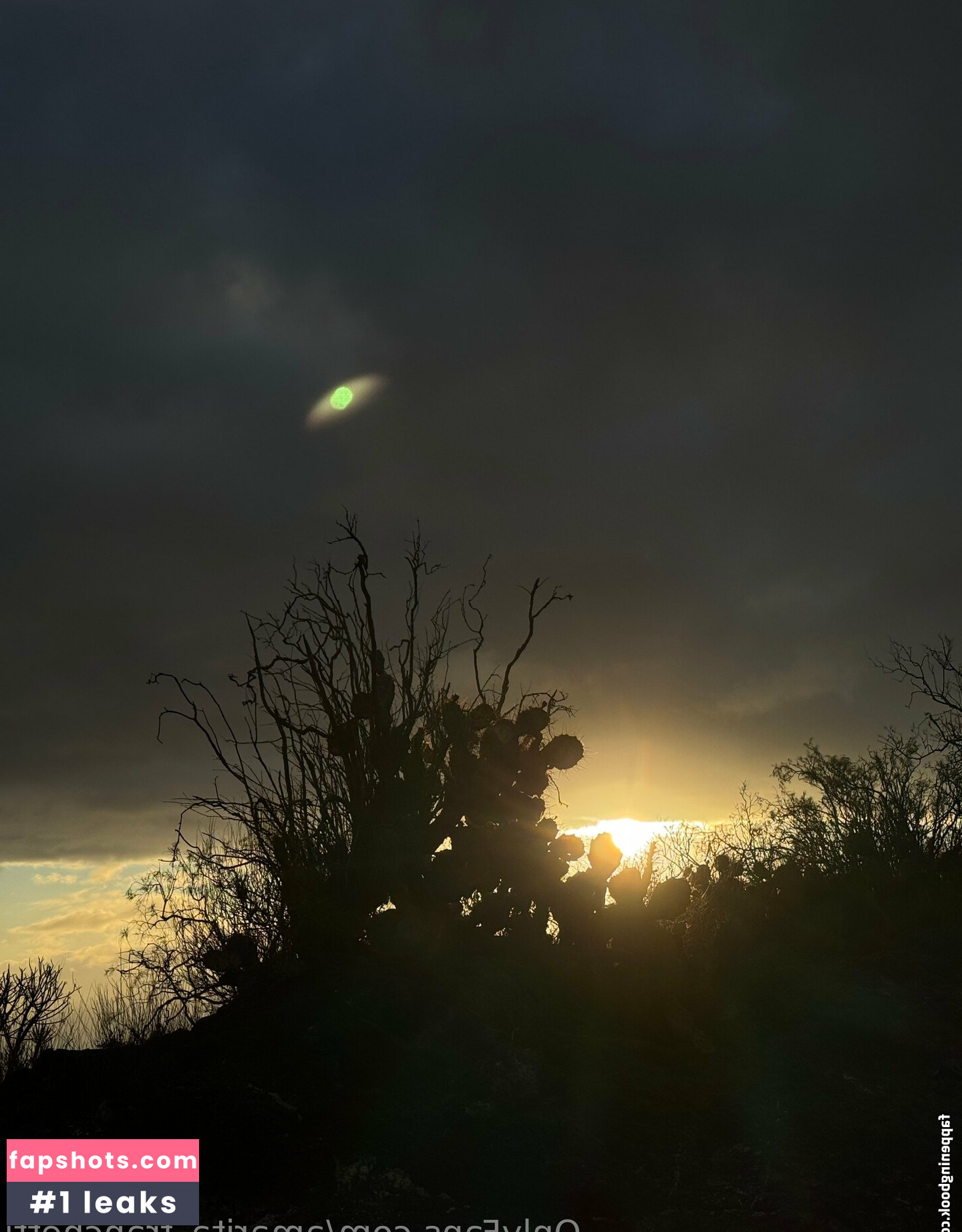 amarita_franchetti Nacktheit OnlyFans Fotos #44 - Fapshots