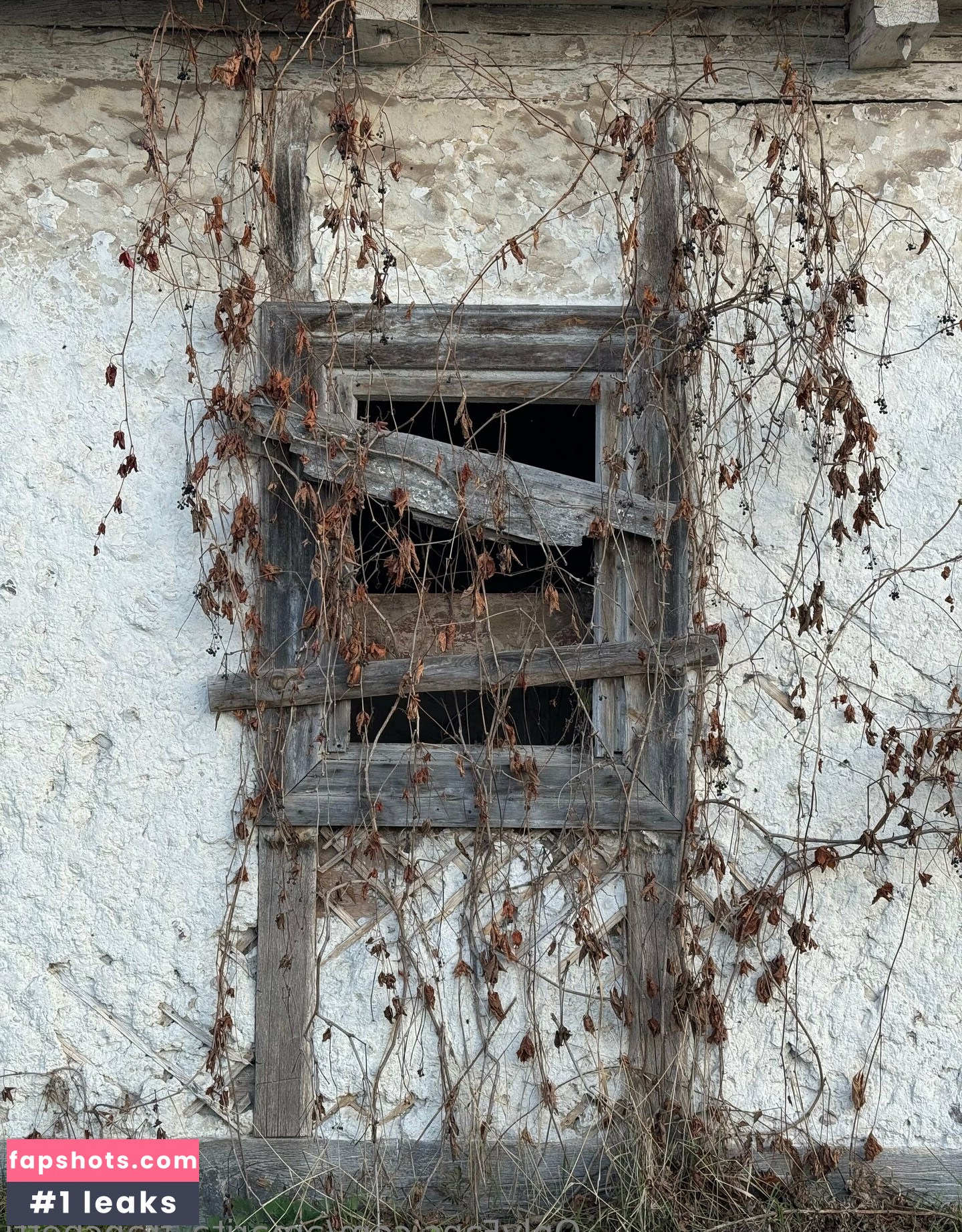 amarita_franchetti Nacktheit OnlyFans Fotos #7 - Fapshots