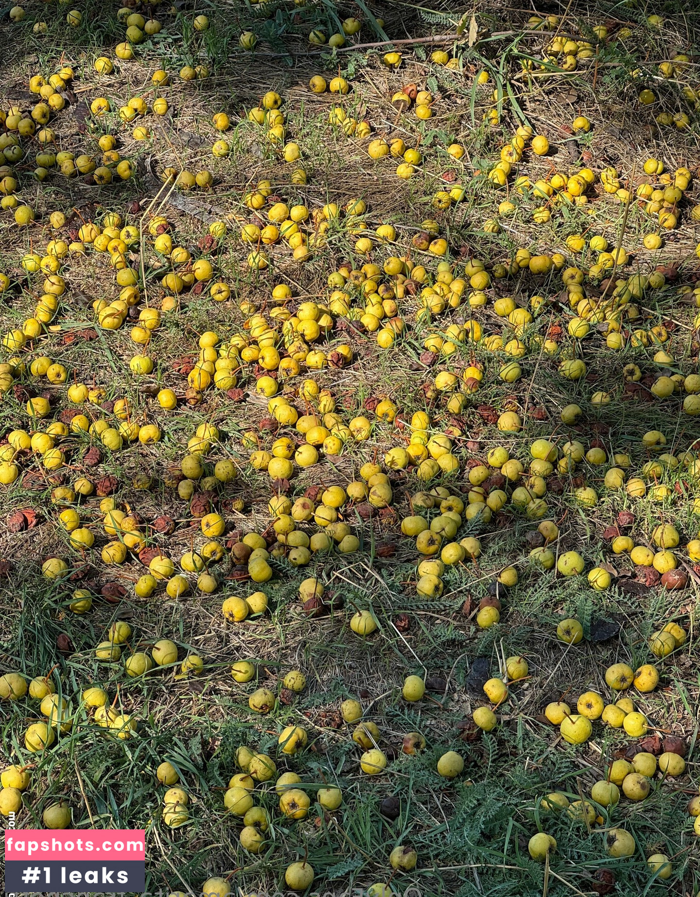 amarita_franchetti Nacktheit OnlyFans Fotos #9 - Fapshots