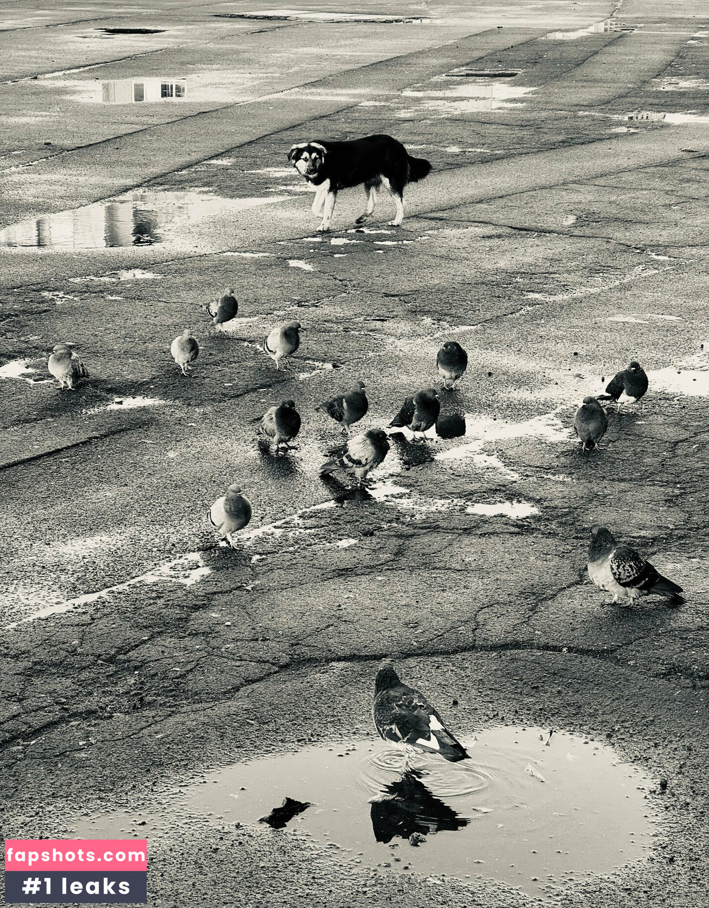 amarita_franchetti Nacktheit OnlyFans Fotos #10 - Fapshots