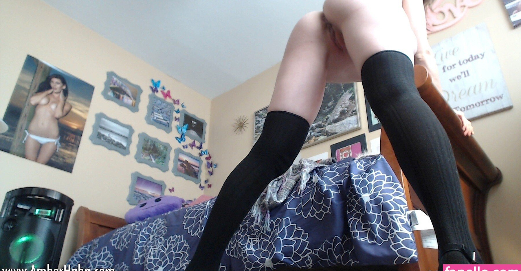 amber-hahn gallery photo #1611