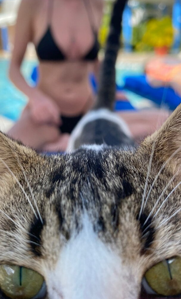 amelie-manzoli Nacktheit OnlyFans Fotos #390 - Fapshots