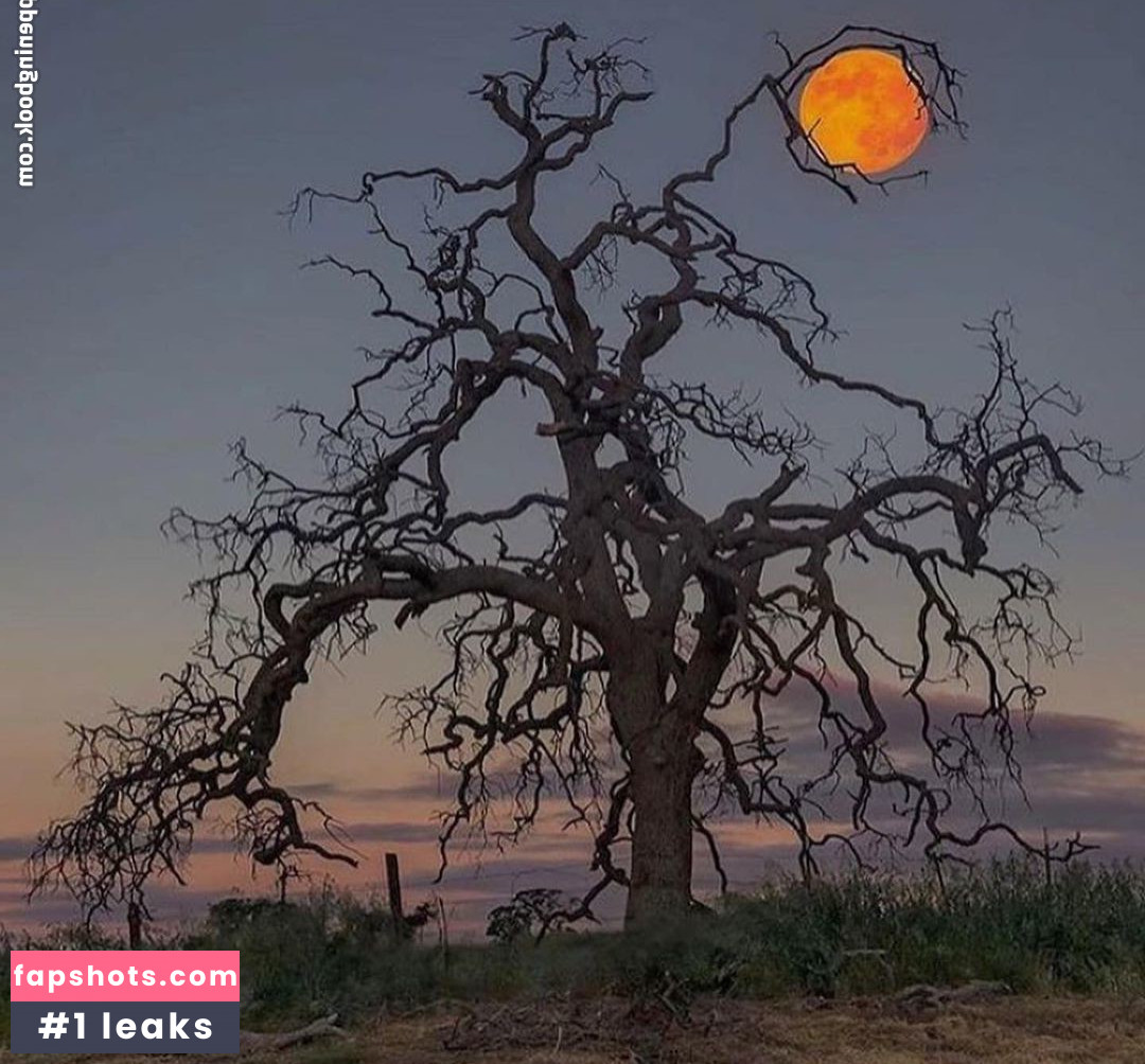 Amethyst Franklin gallery photo #43