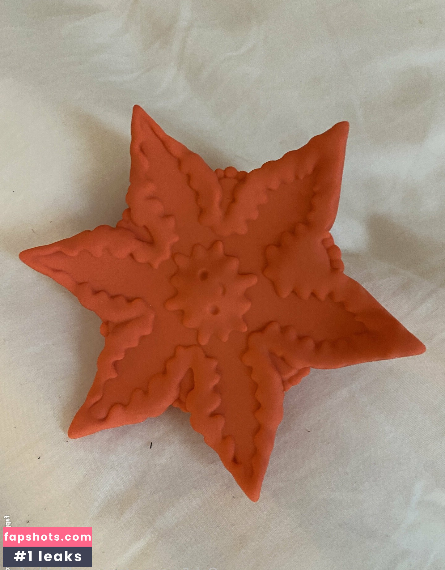 amieworldwide_free gallery photo #37