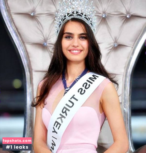 Amine Guelse gallery photo #2