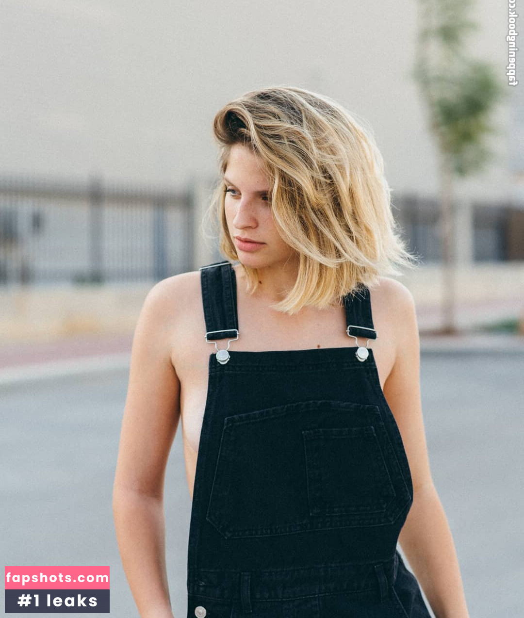 Amit Dan gallery photo #14