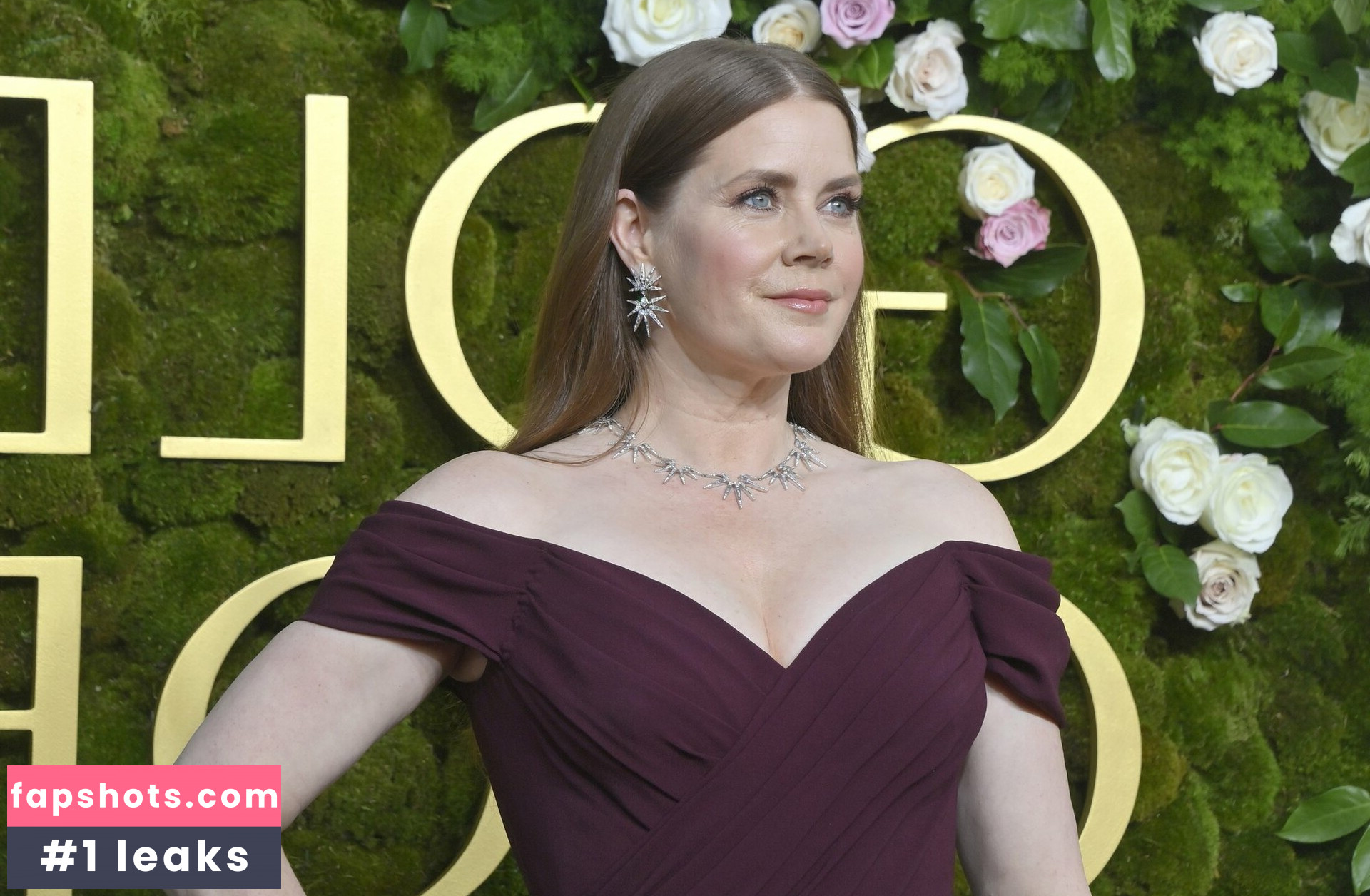 Amy Adams gallery photo #11