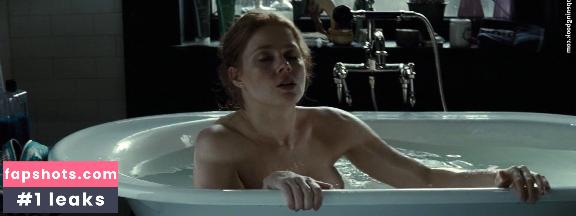Amy Adams gallery photo #98