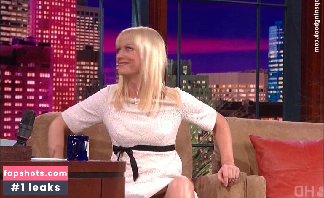 Amy Poehler gallery photo #16