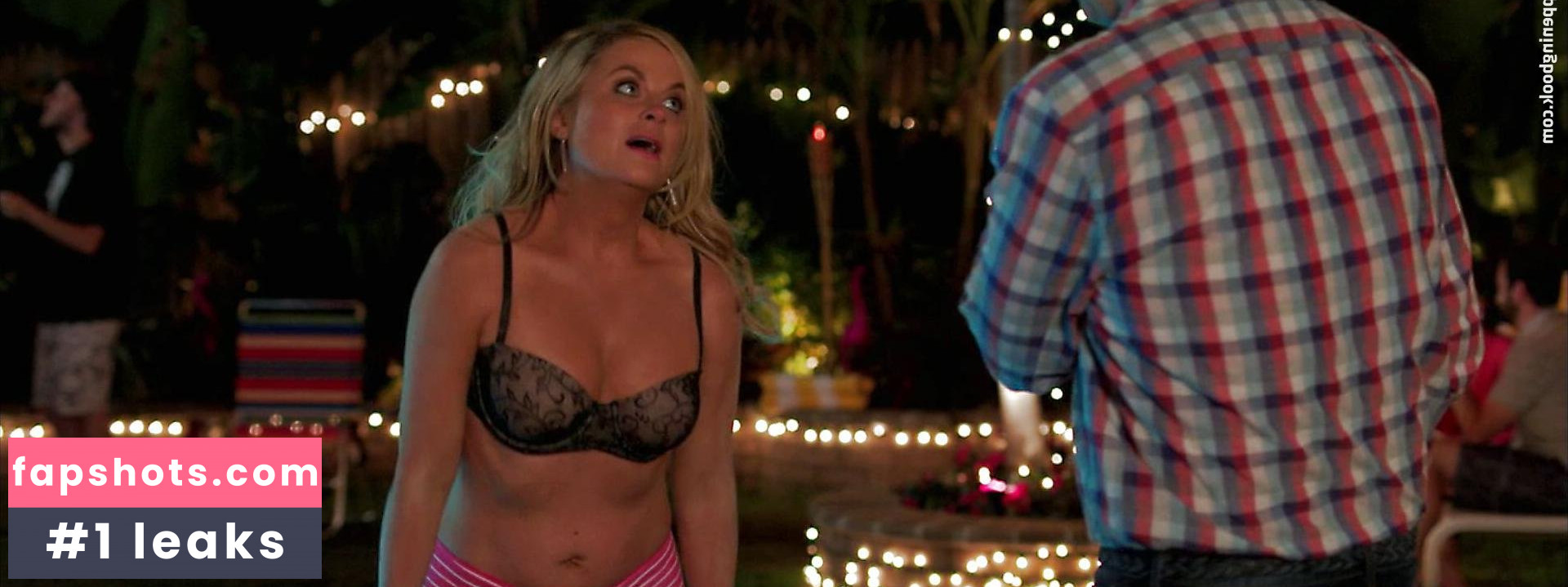 Amy Poehler gallery photo #21