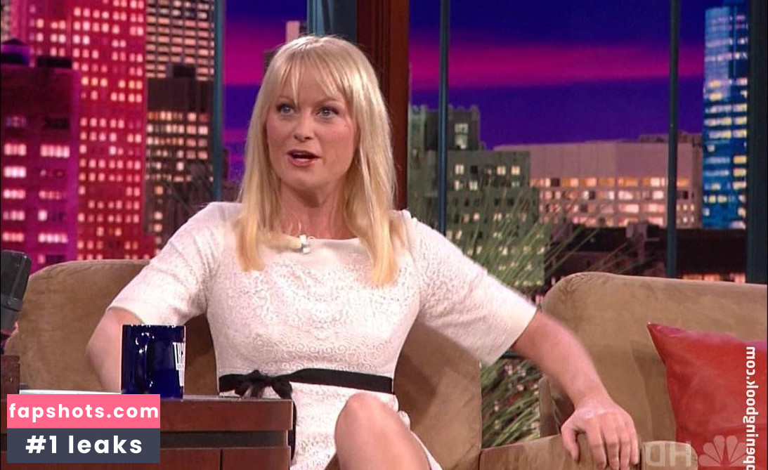 Amy Poehler gallery photo #6