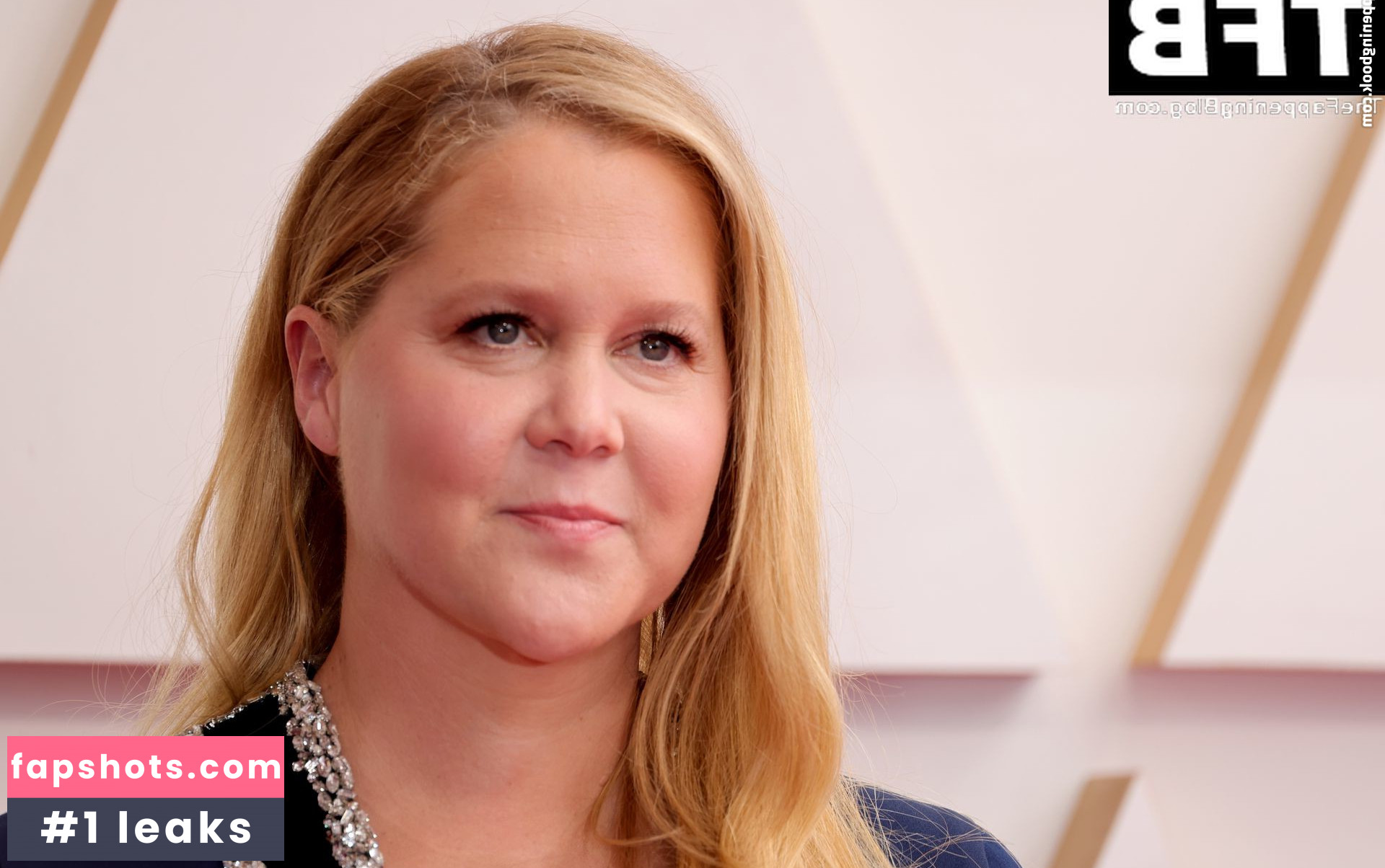 Amy Schumer Nude Leaks OnlyFans Photos #16 - LeakJerk