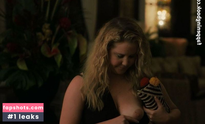 Amy Schumer Nude Leaks OnlyFans Photos #19 - LeakJerk