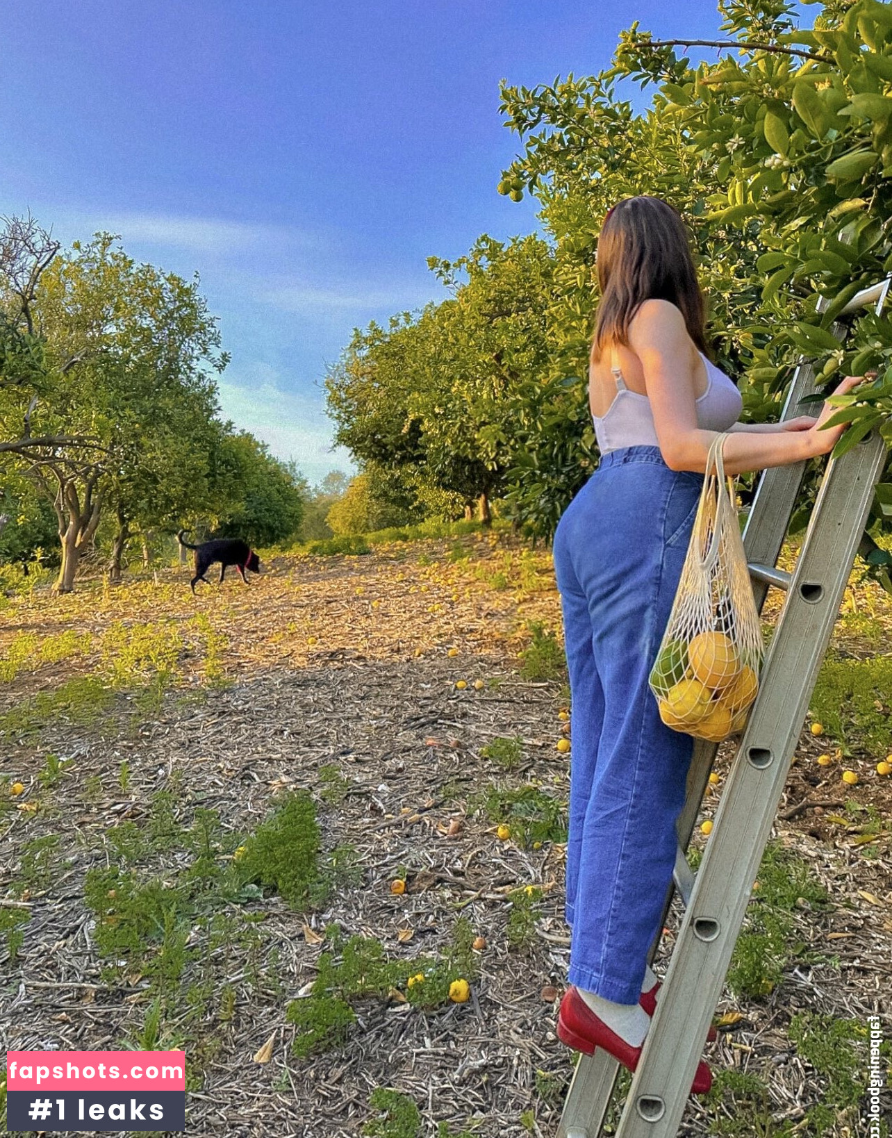 Amylouisev gallery photo #36