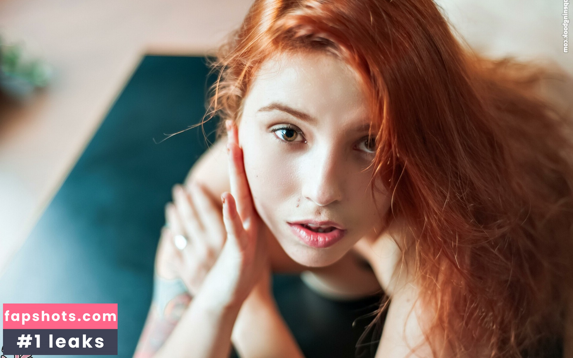 amyplacco gallery photo #18