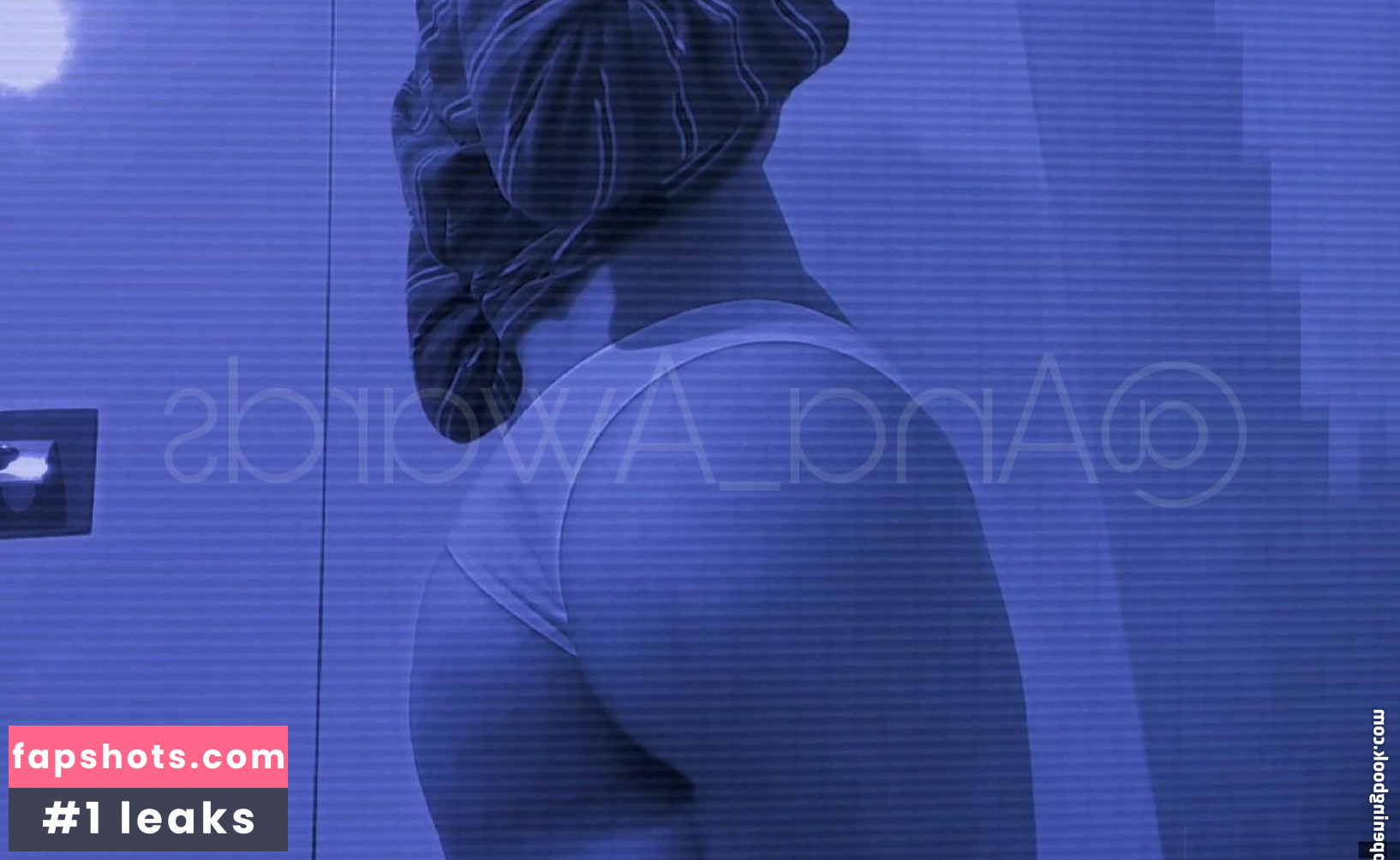 Ana_Awards gallery photo #41