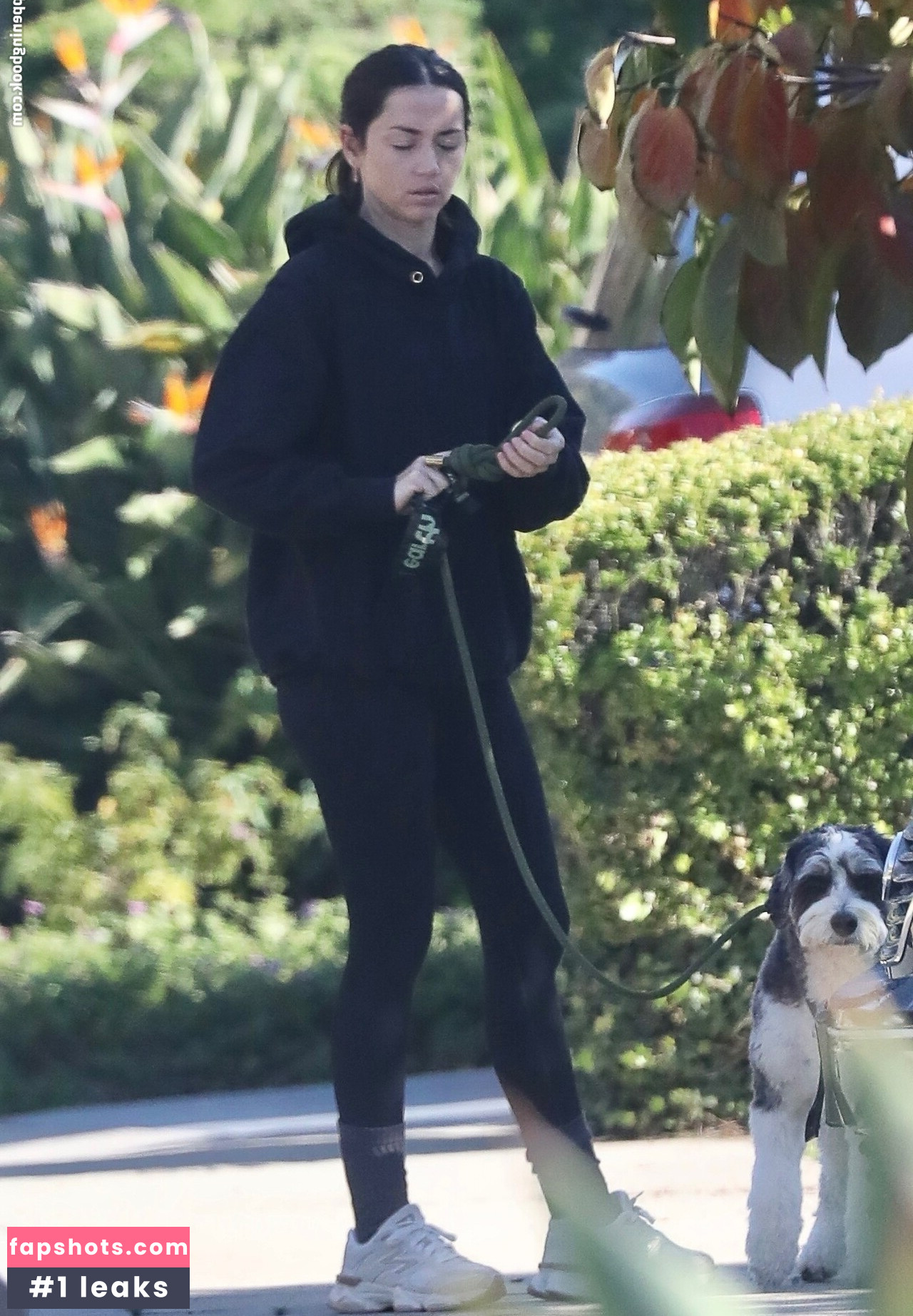 Ana de Armas gallery photo #11