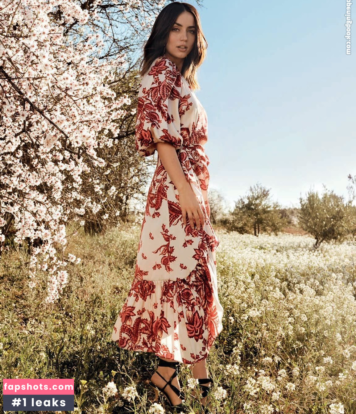 Ana de Armas Nahé úniky fotek pouze od fanoušků #1021 - Fapshots