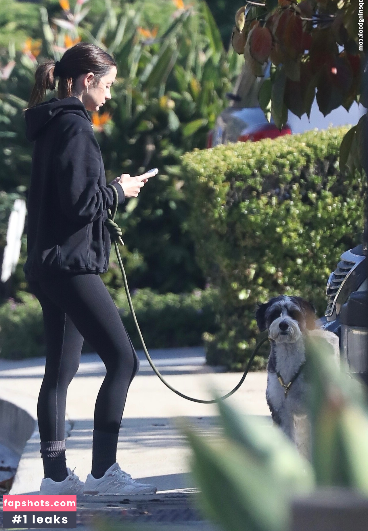 Ana de Armas gallery photo #16