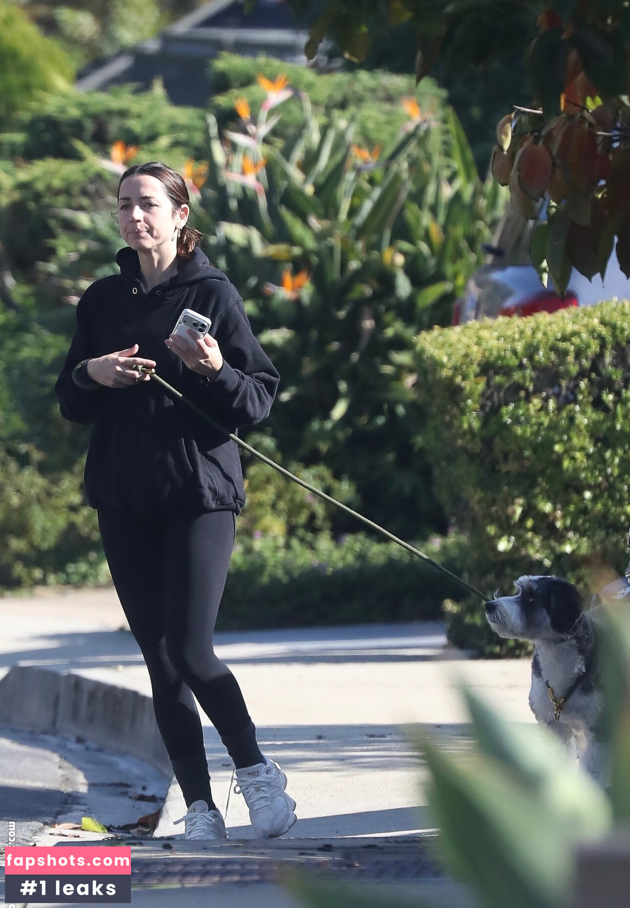 Ana de Armas gallery photo #17