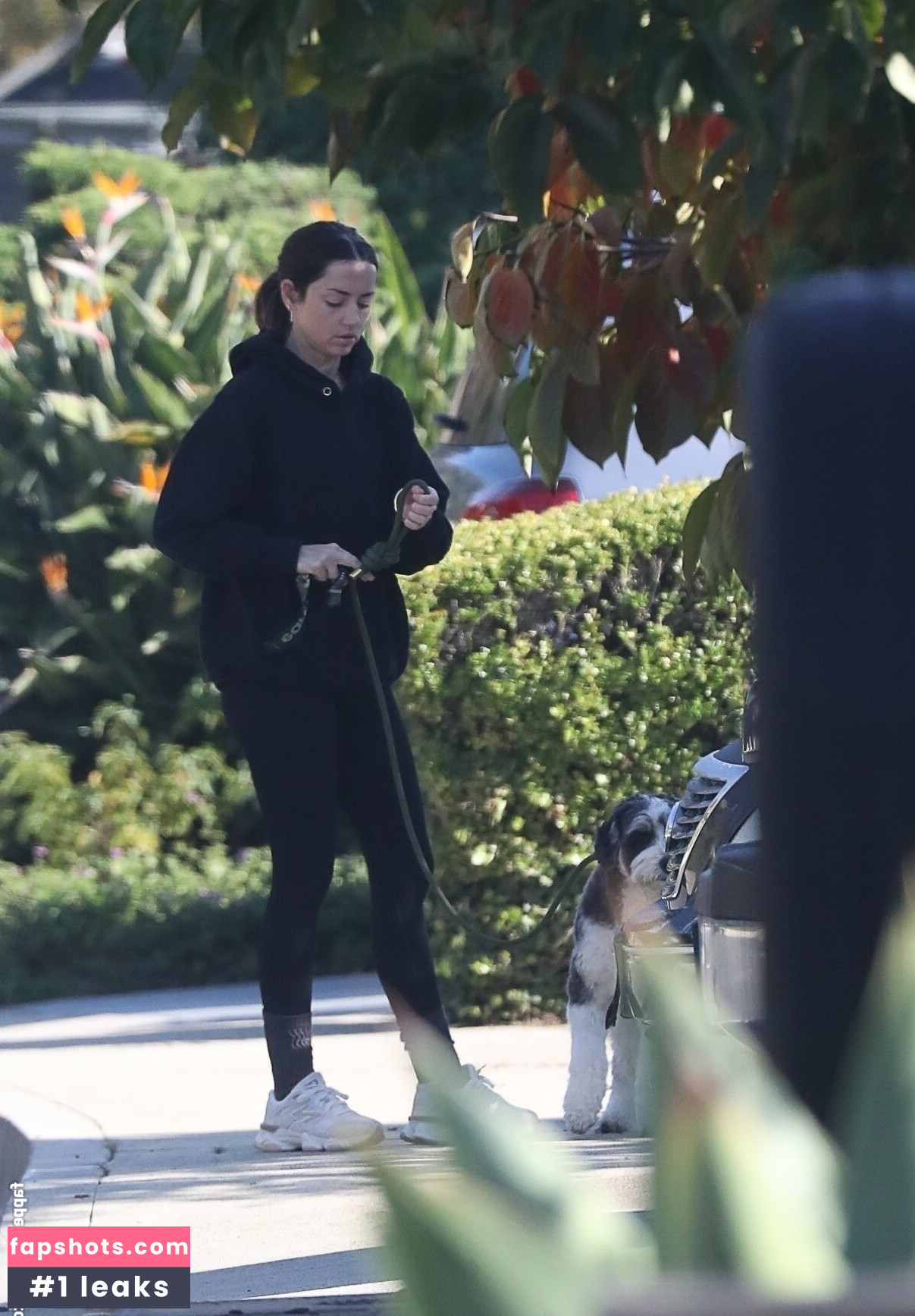 Ana de Armas gallery photo #19