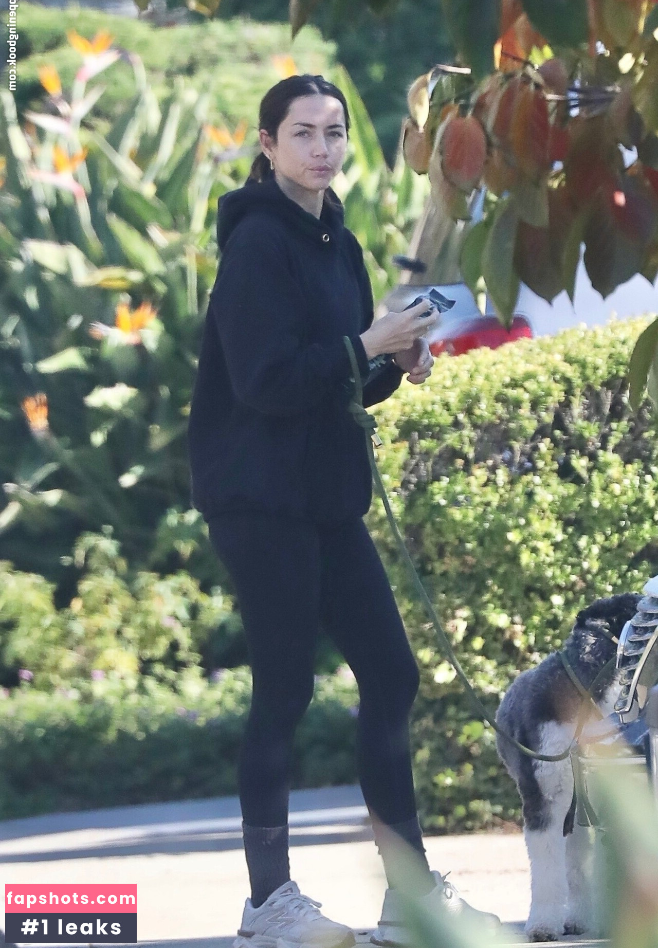 Ana de Armas gallery photo #3