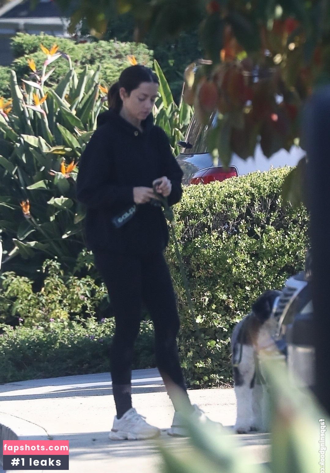 Ana de Armas gallery photo #4