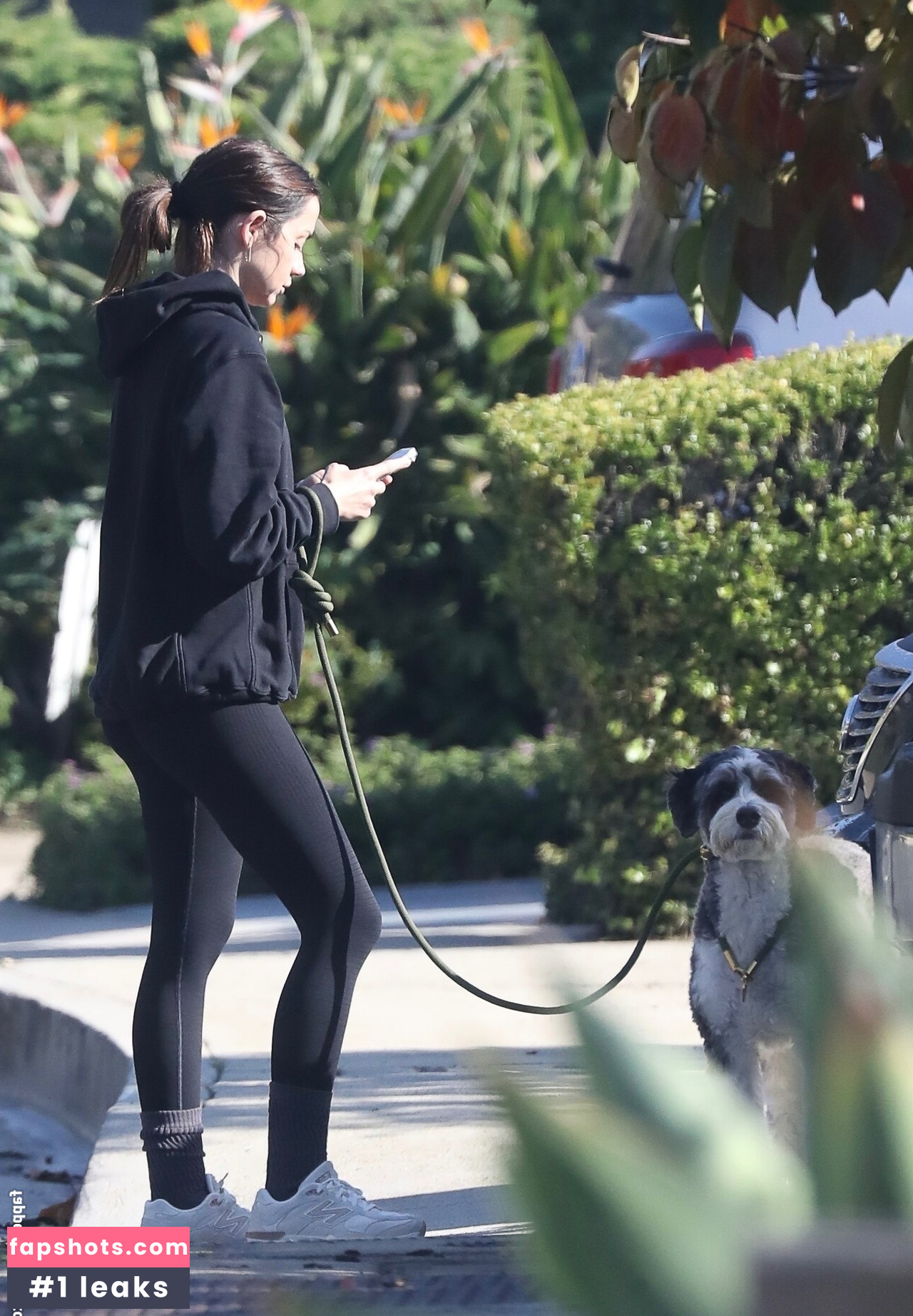 Ana de Armas gallery photo #6