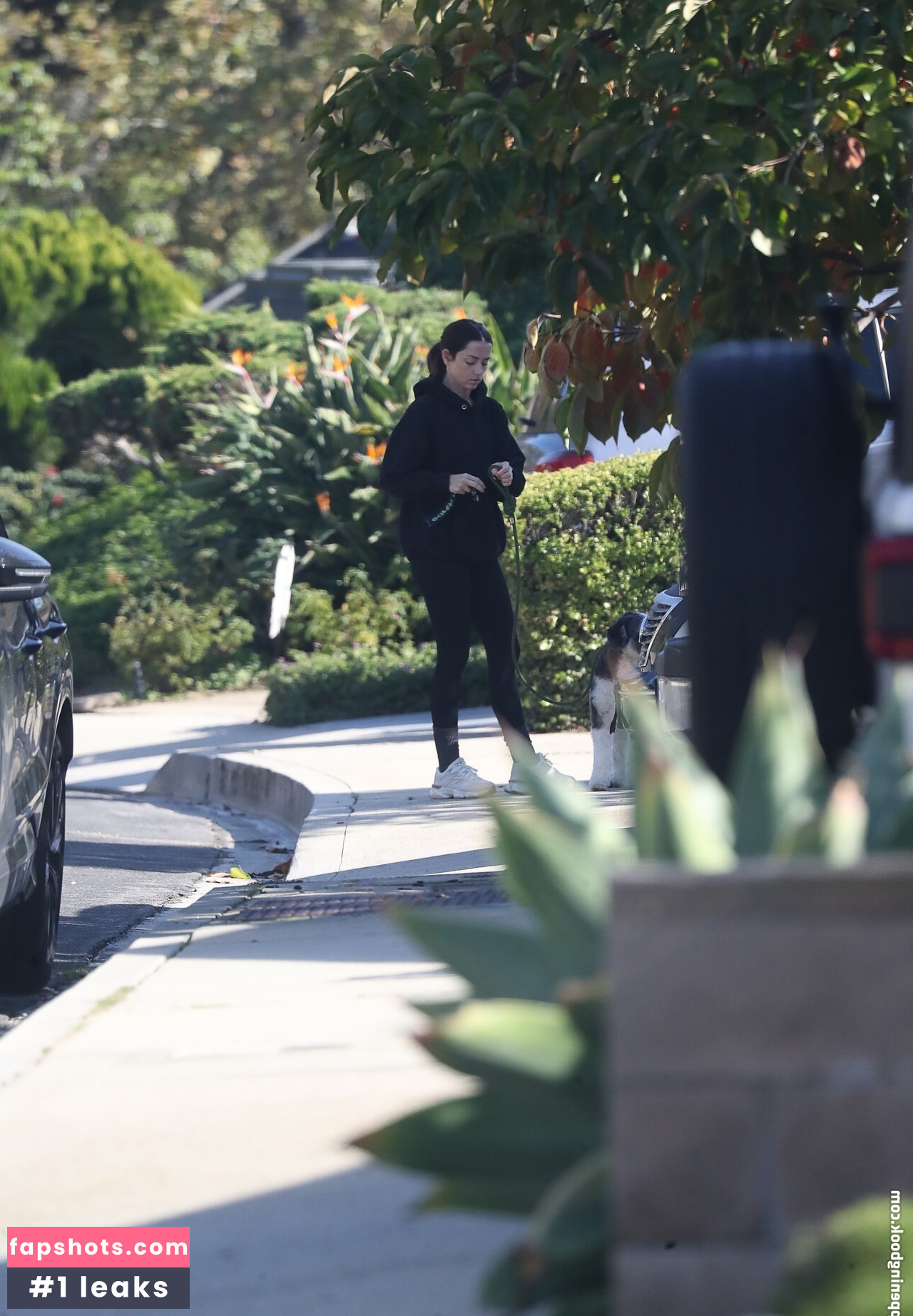 Ana de Armas gallery photo #8