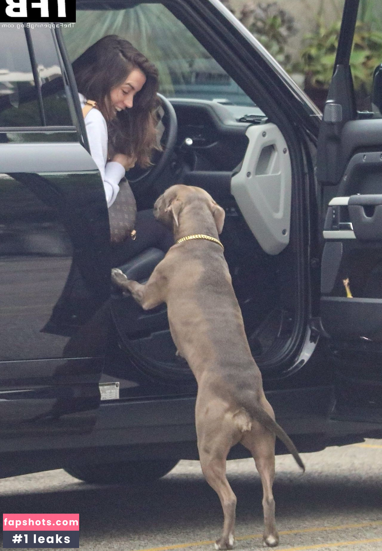 Ana de Armas gallery photo #715