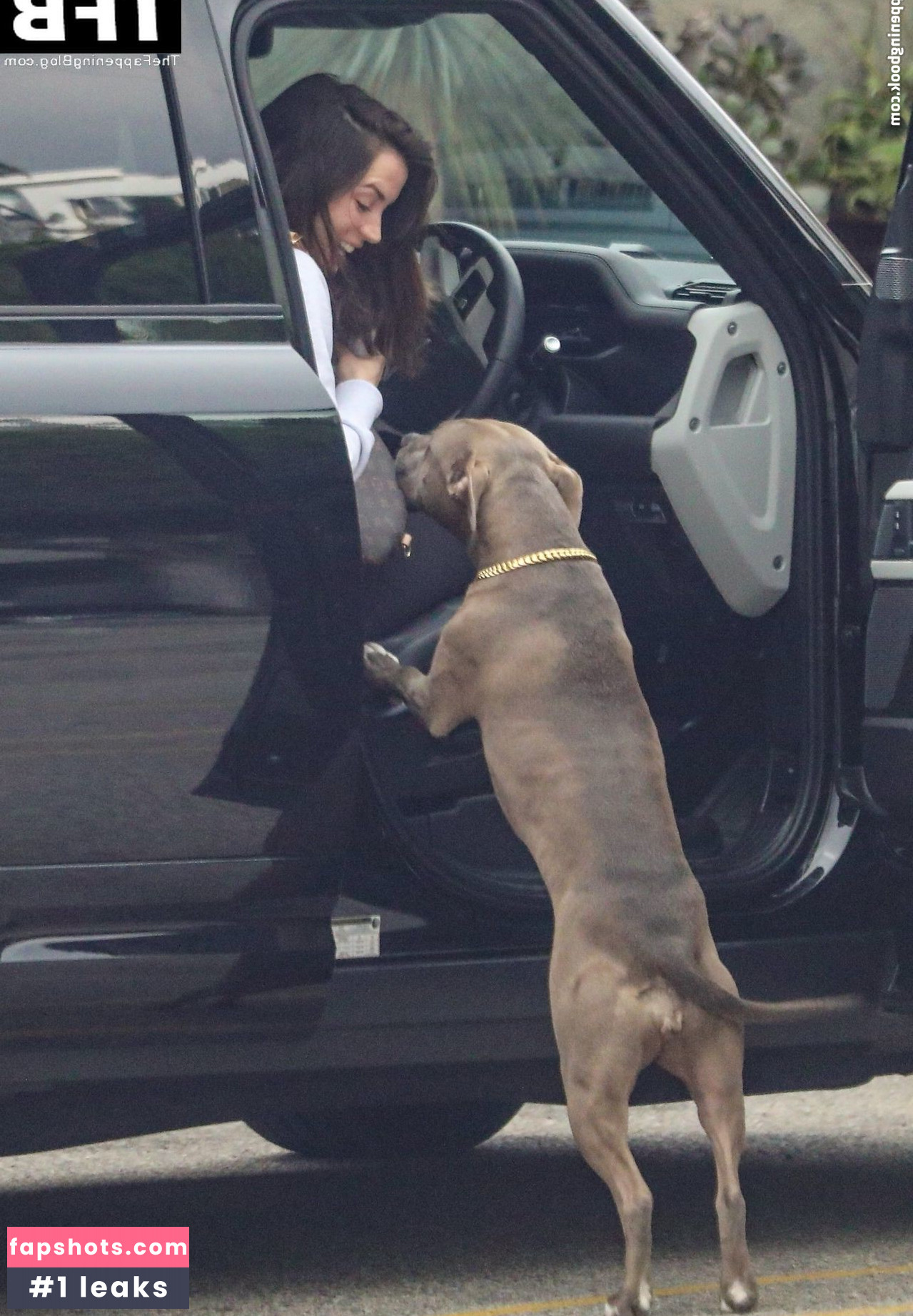 Ana de Armas gallery photo #719