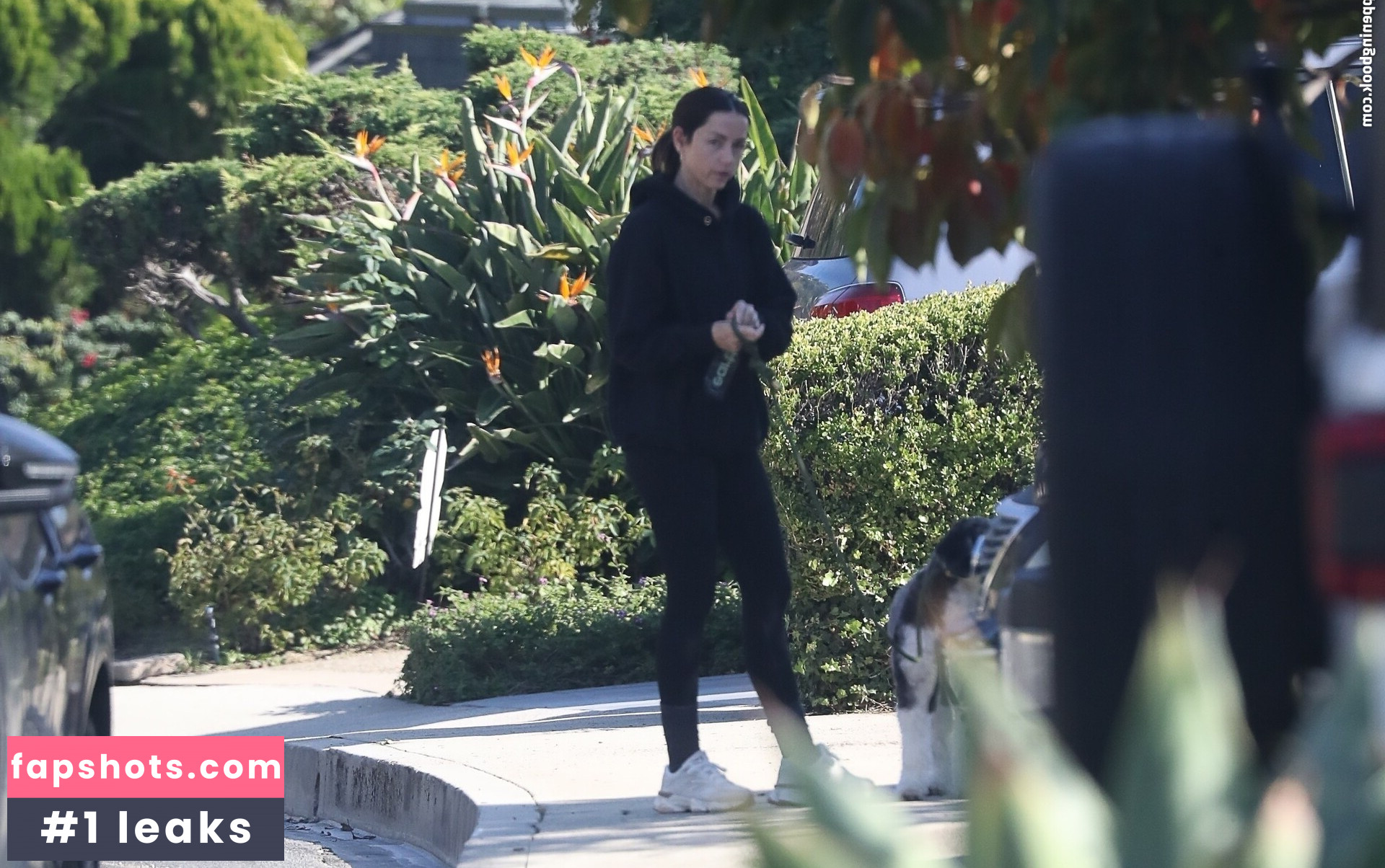 Ana de Armas gallery photo #10