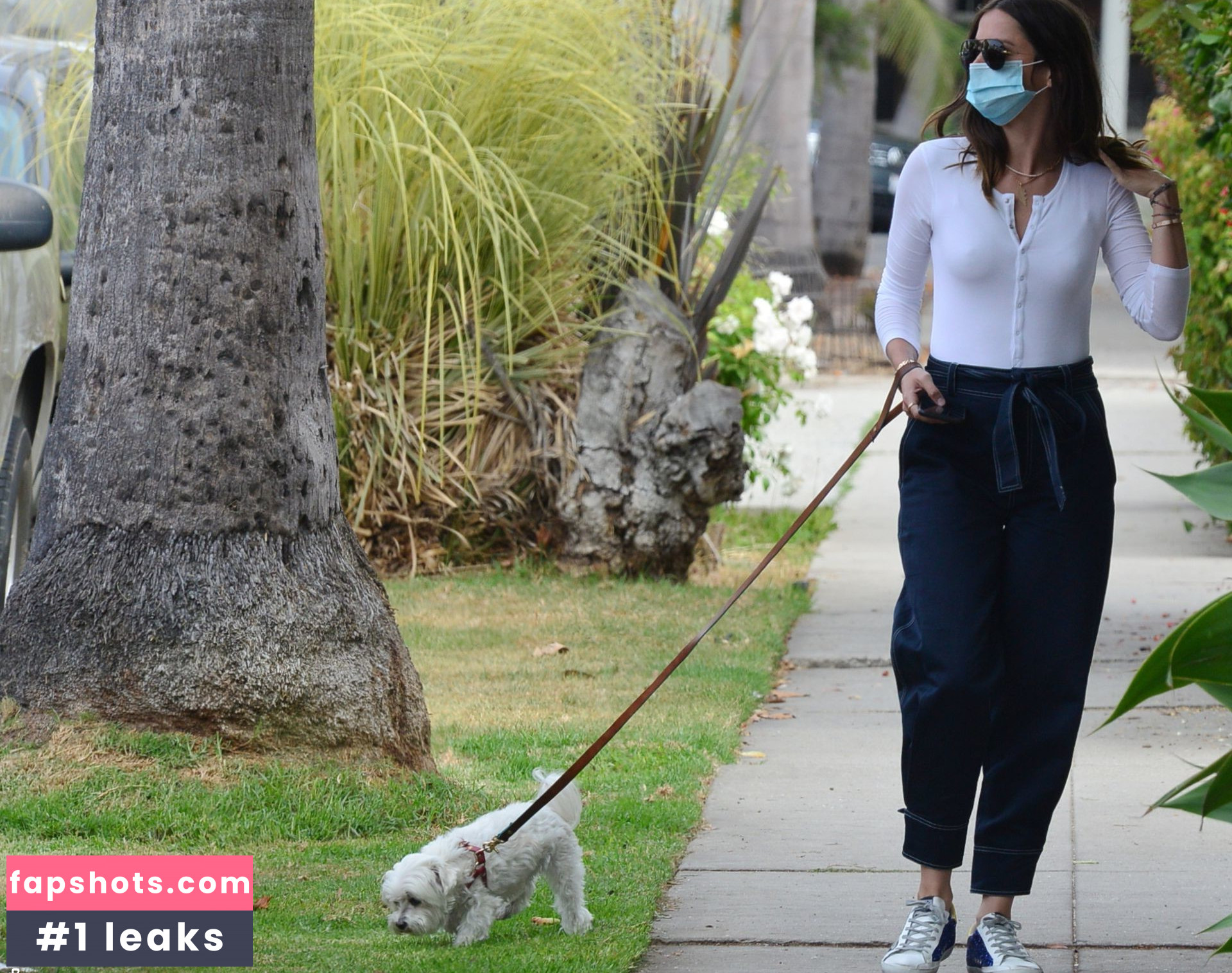 Ana de Armas Nahé úniky fotek pouze od fanoušků #933 - Fapshots