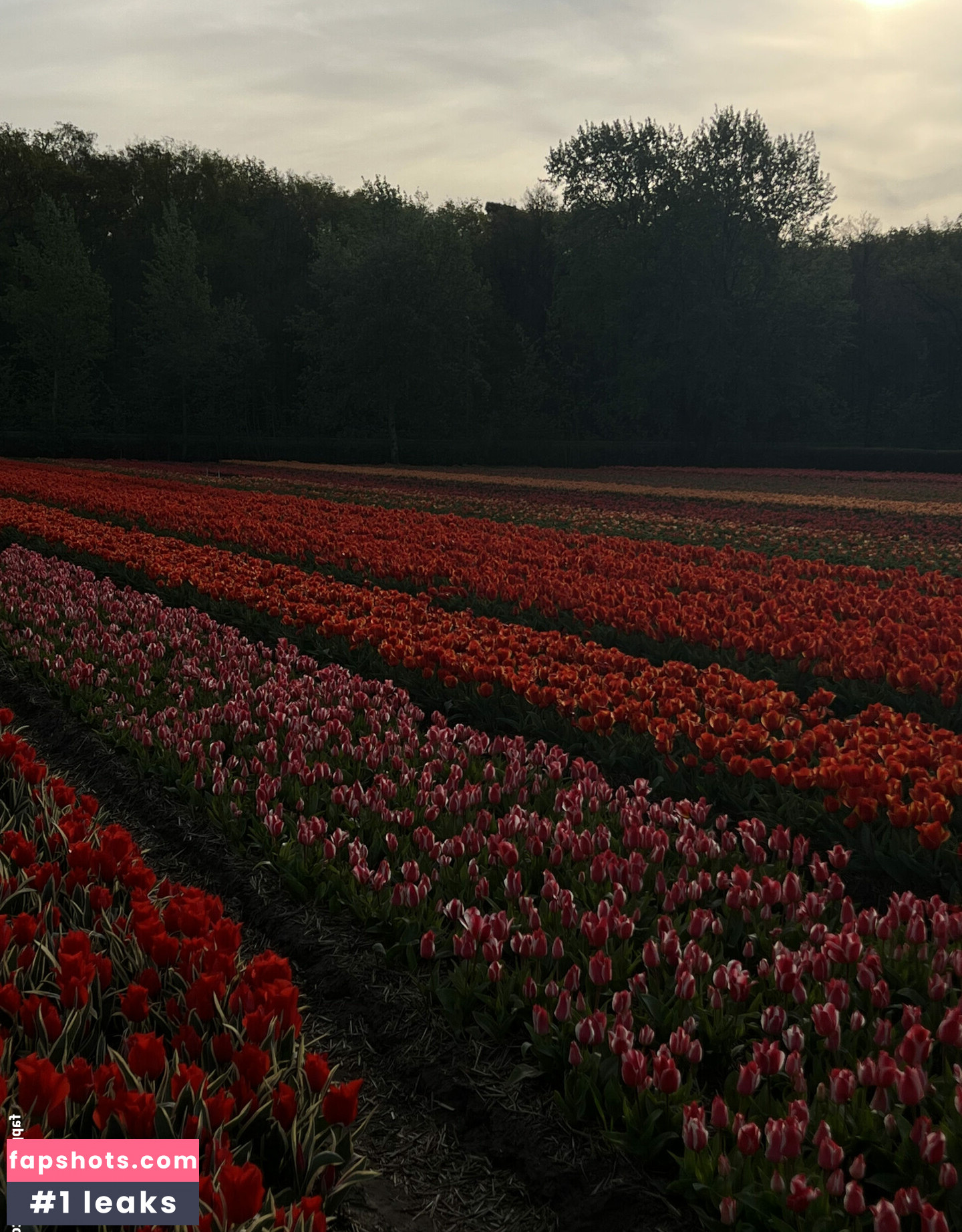 Ana Lago Nude Leaks OnlyFans Photos #9 - LeakJerk