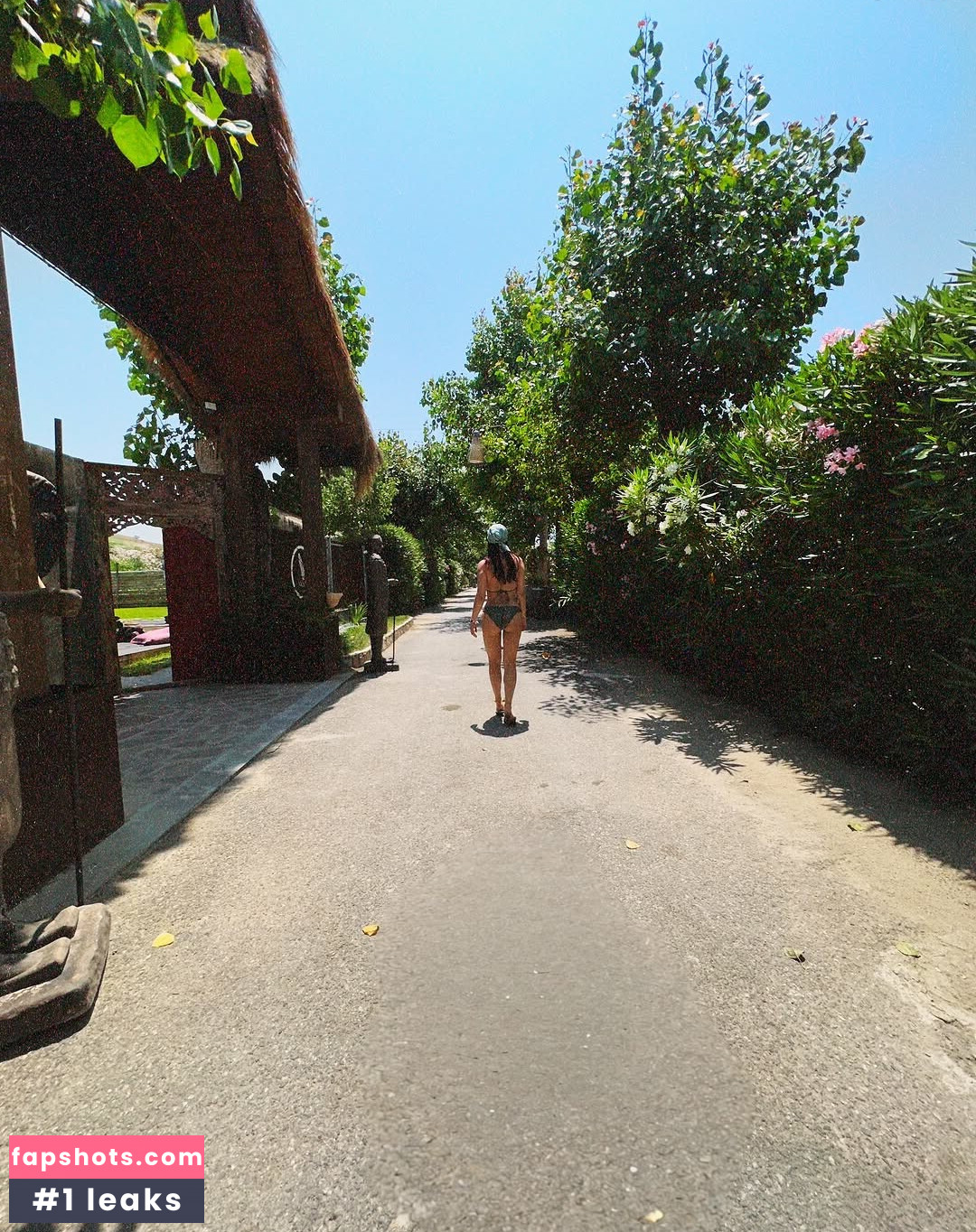 Ana Lucia Dominguez gallery photo #13