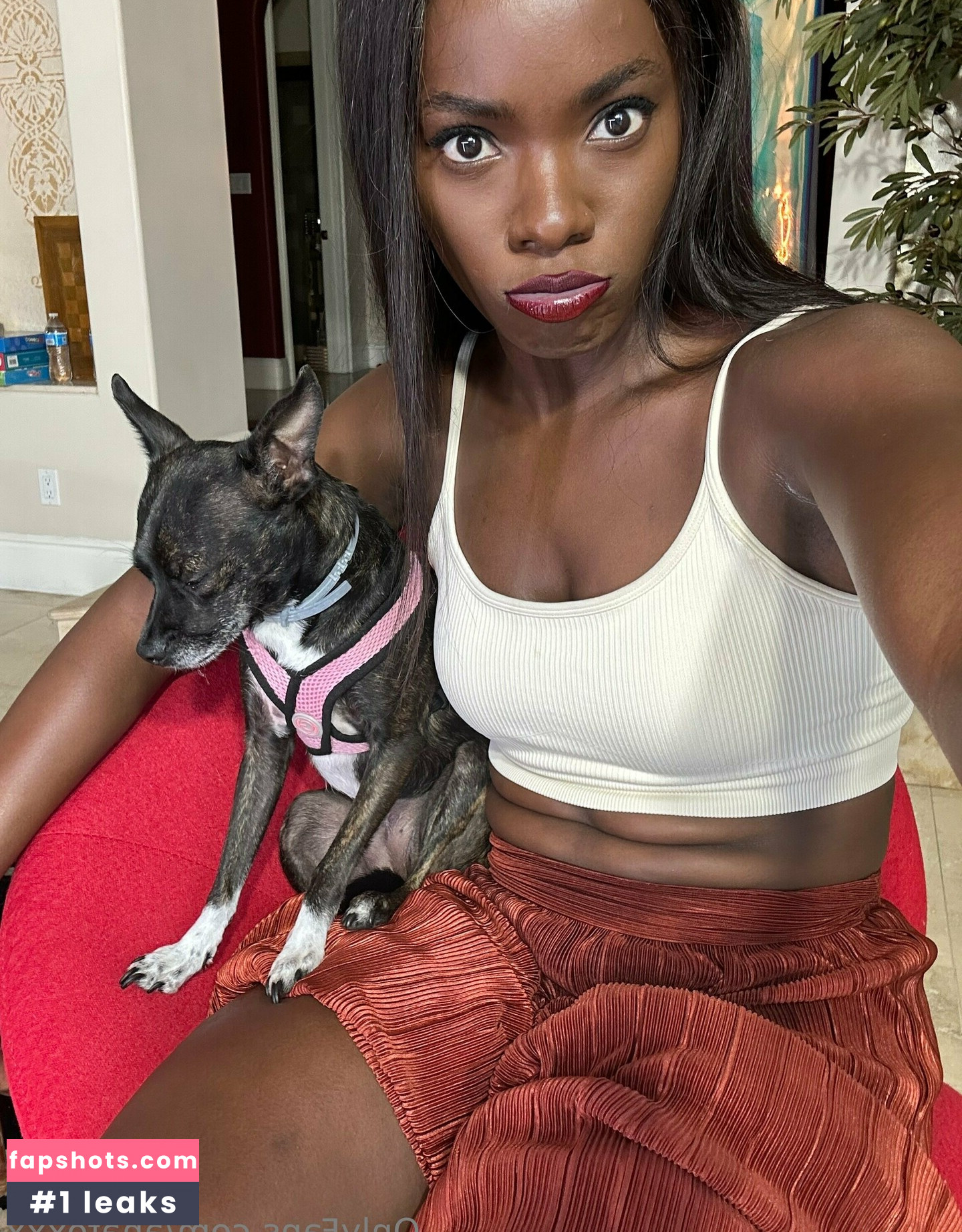 anafoxxx Nude Leaks OnlyFans Photos #31 - LeakJerk