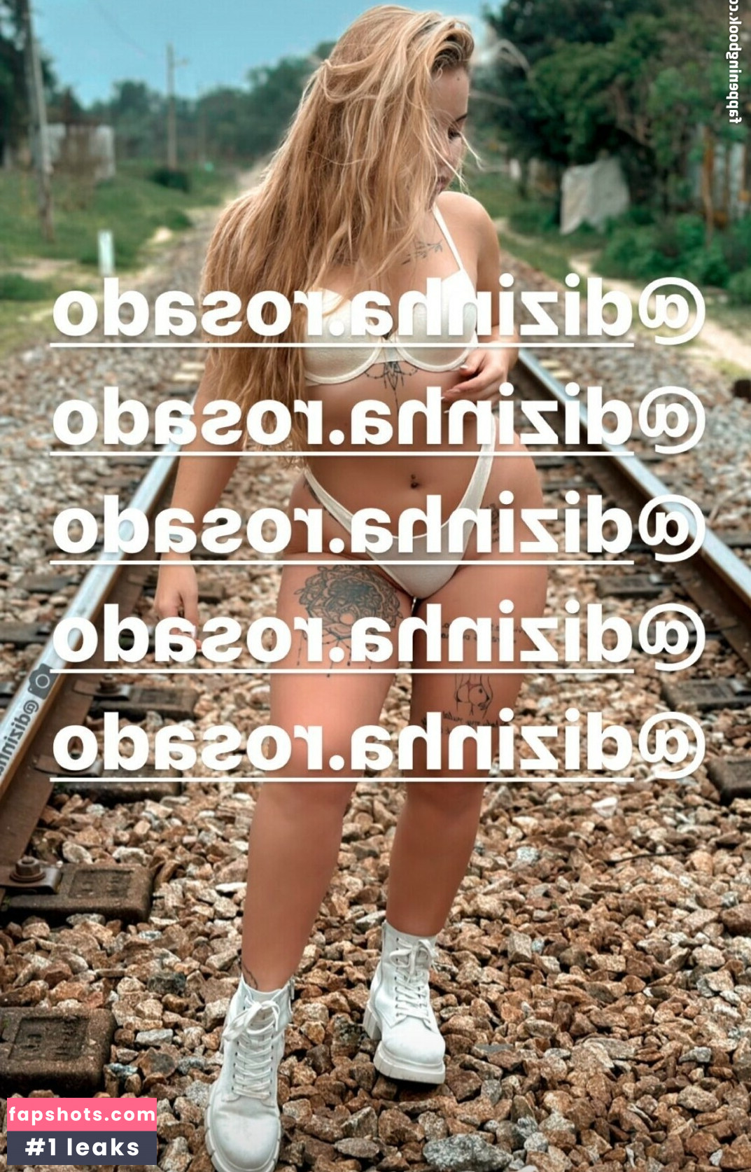 analisboa gallery photo #569