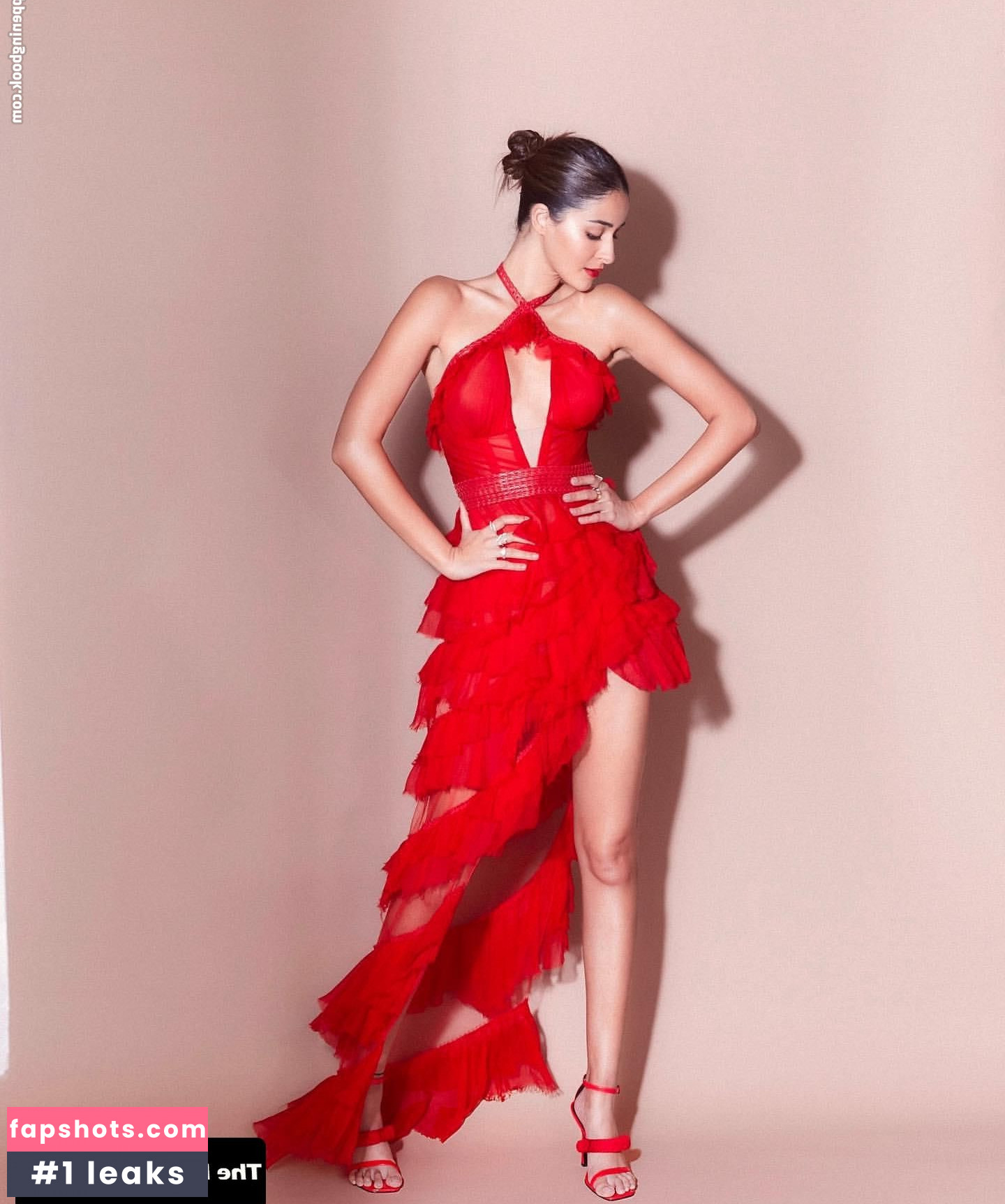 Ananya Panday gallery photo #14