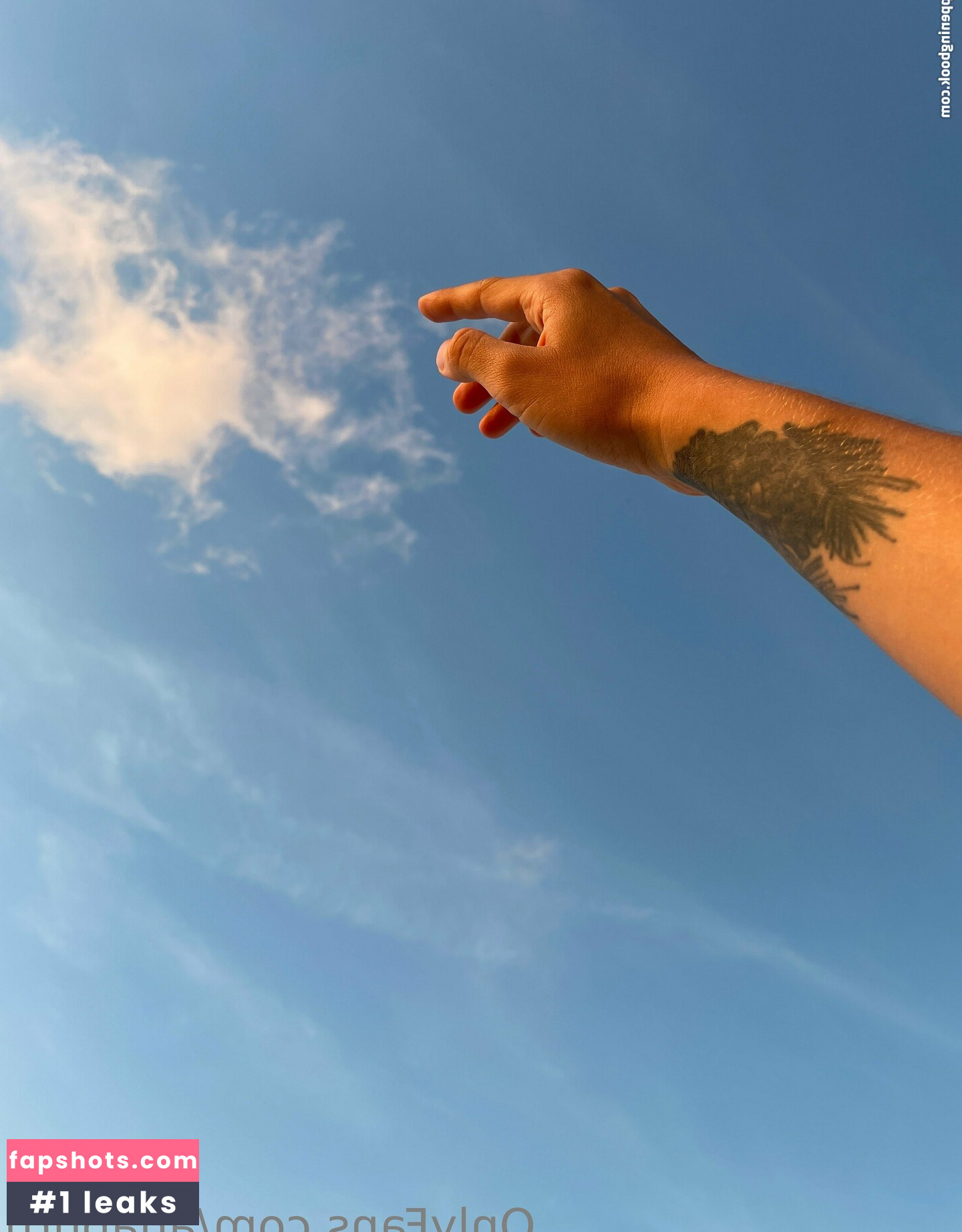 anapuru gallery photo #40