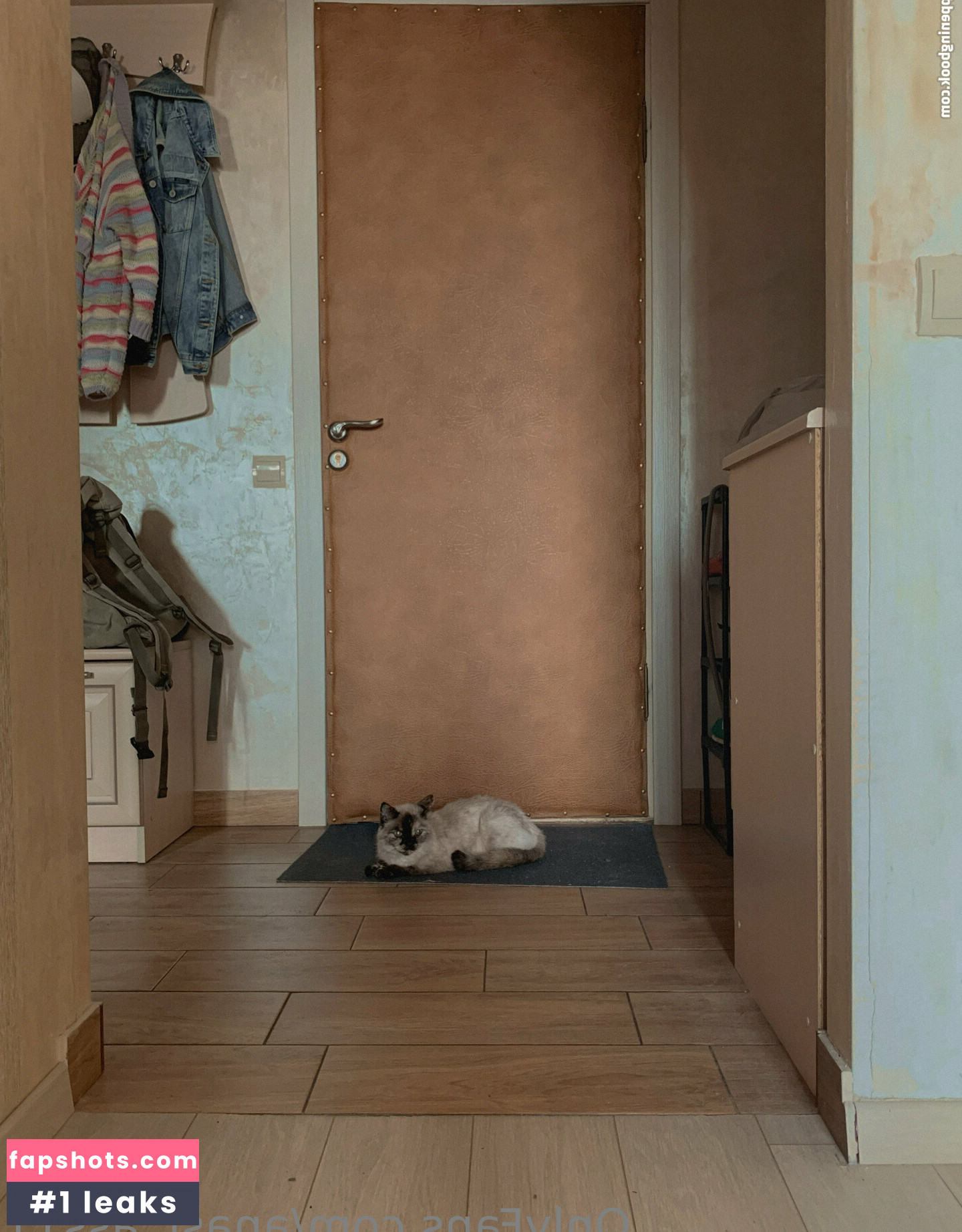 anast_ass11 gallery photo #39