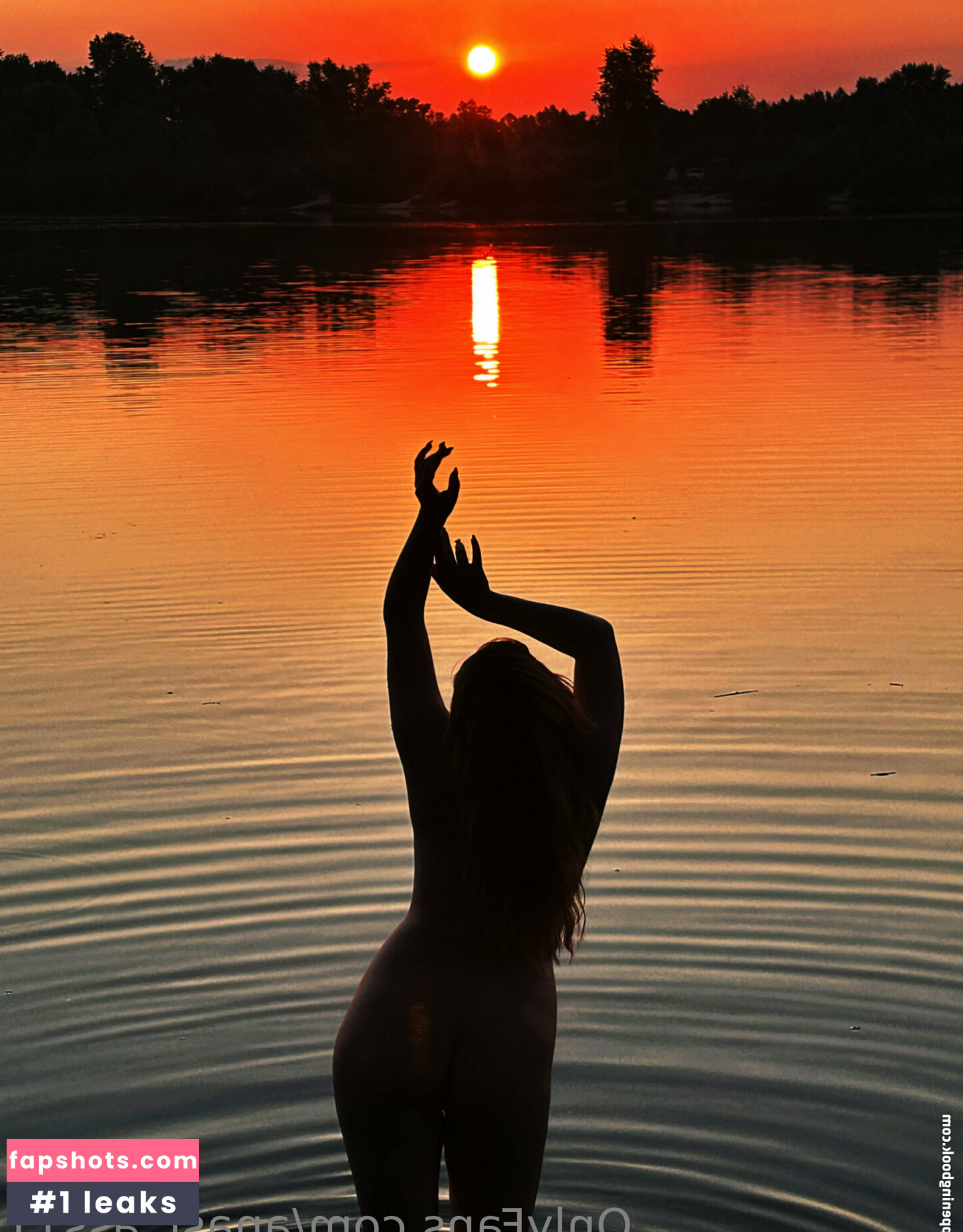 anast_ass11 gallery photo #5