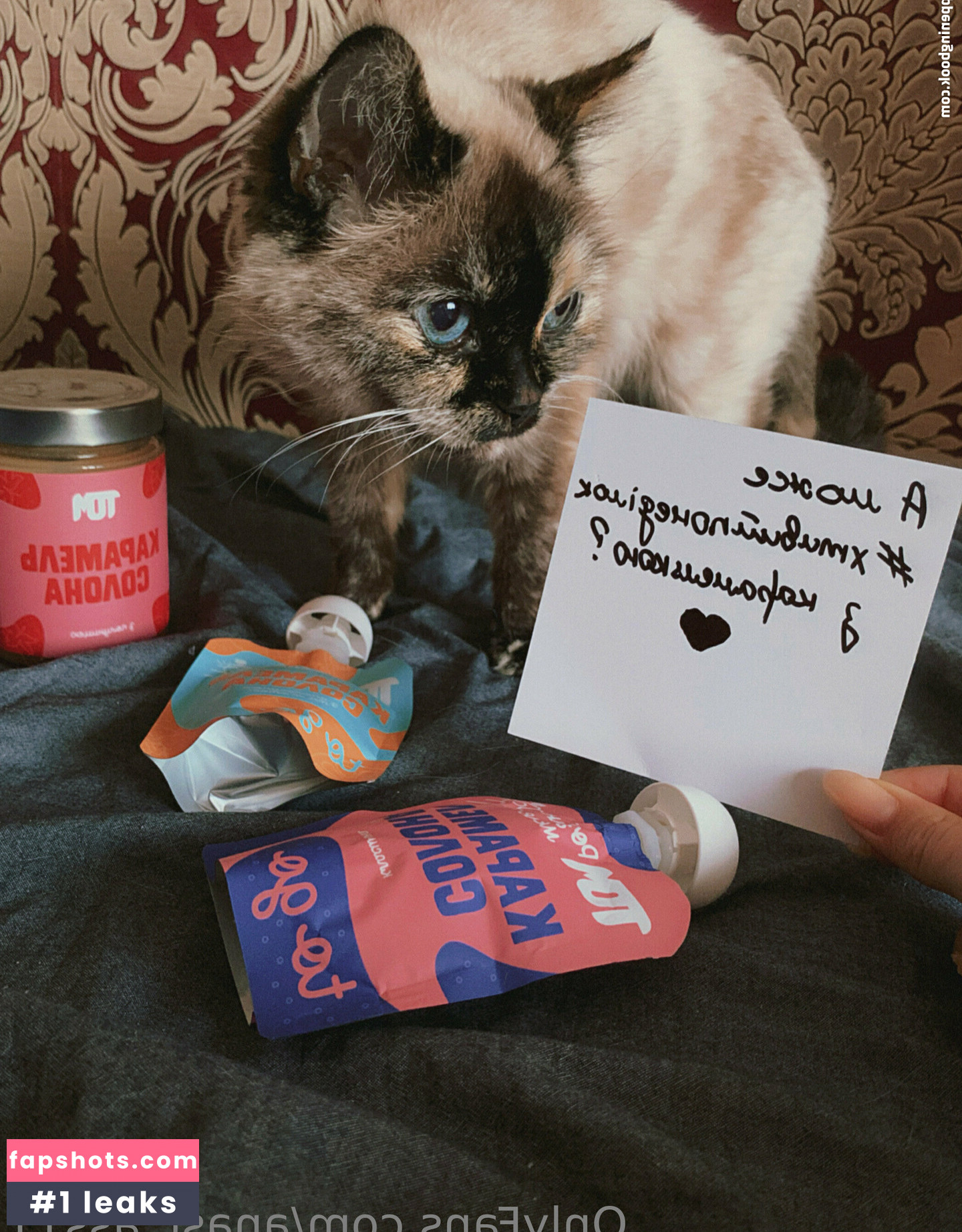 anast_ass11 gallery photo #47