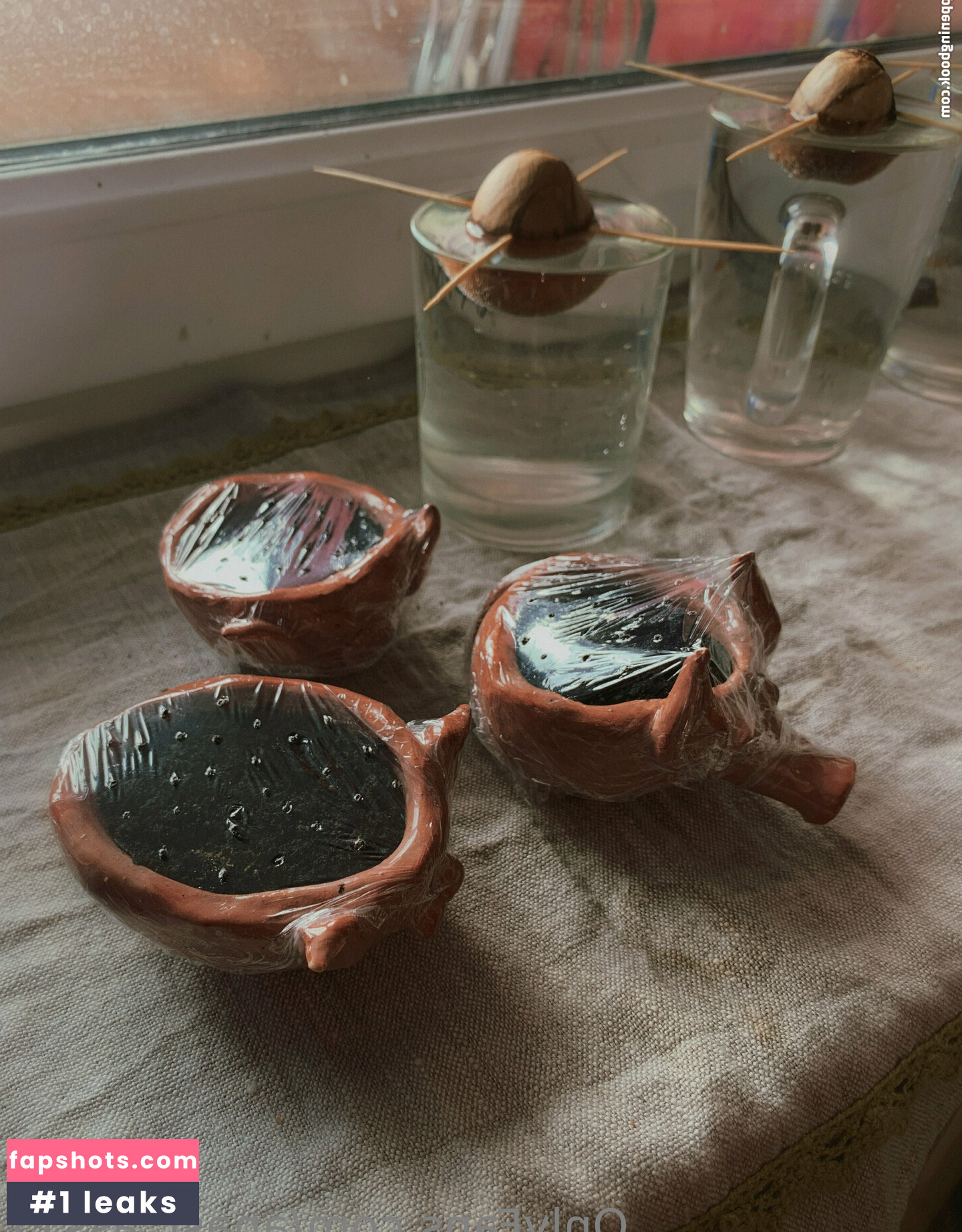 anast_ass11 gallery photo #58