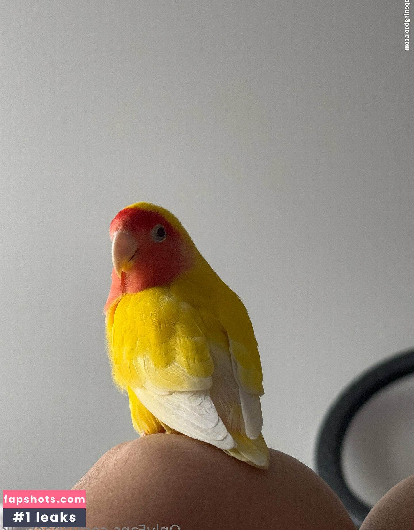 anastetyk Nacktheit OnlyFans Fotos #11 - Fapshots