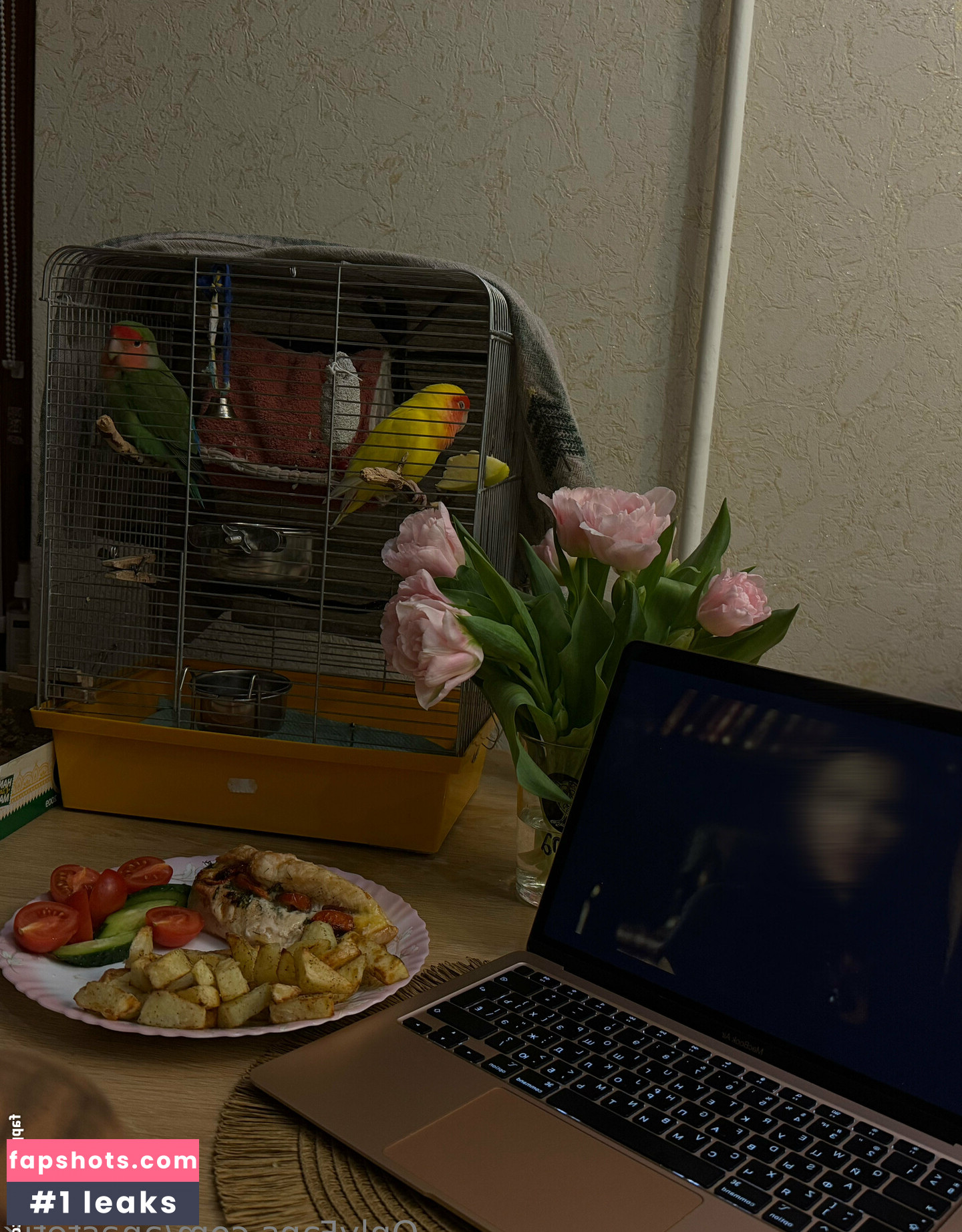 anastetyk Nacktheit OnlyFans Fotos #5 - Fapshots