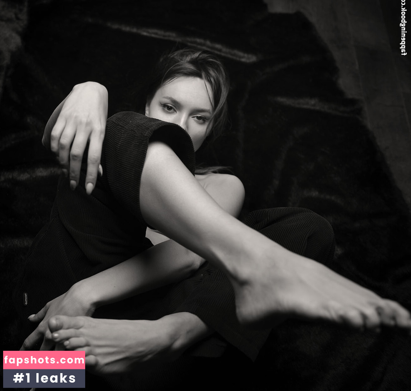 anato_mo gallery photo #5