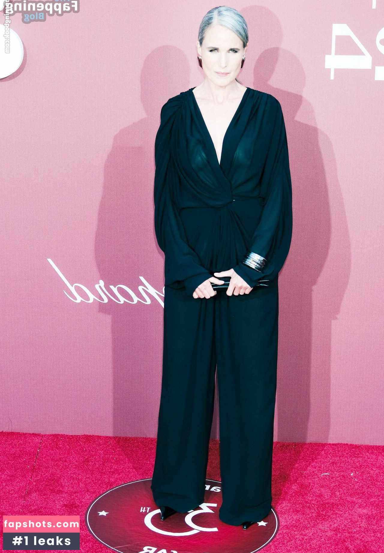 Andie MacDowell gallery photo #15