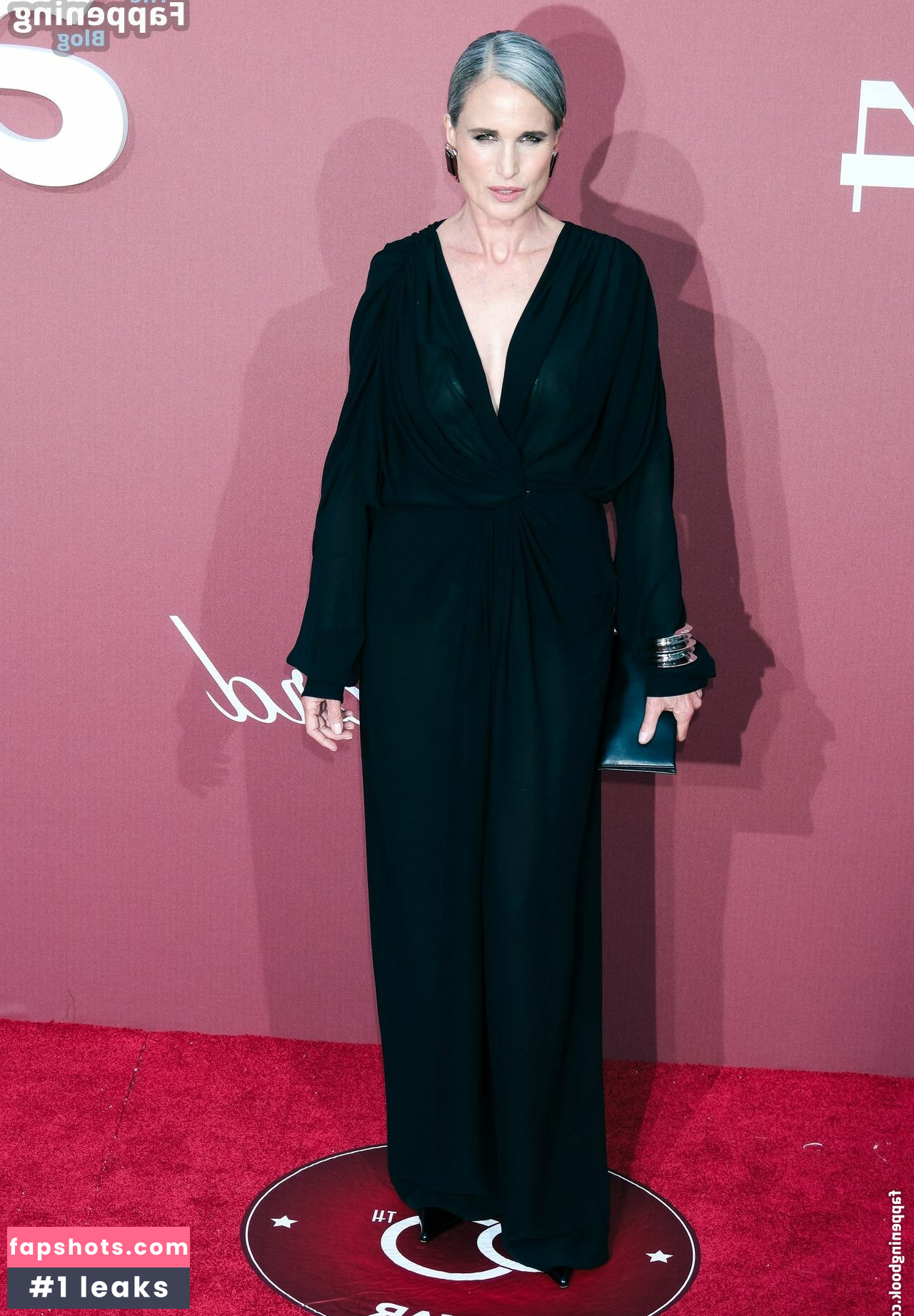 Andie MacDowell gallery photo #19