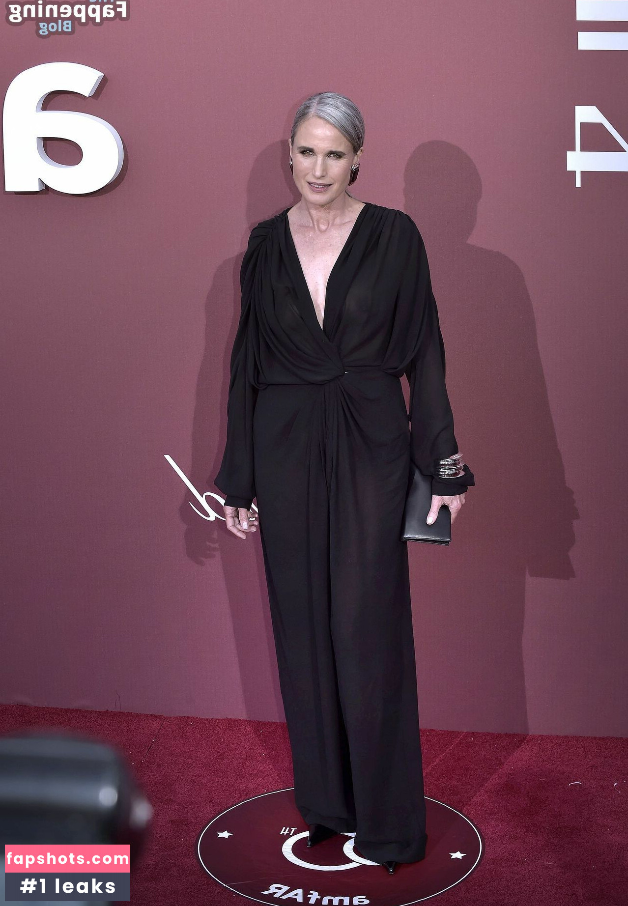 Andie MacDowell gallery photo #29